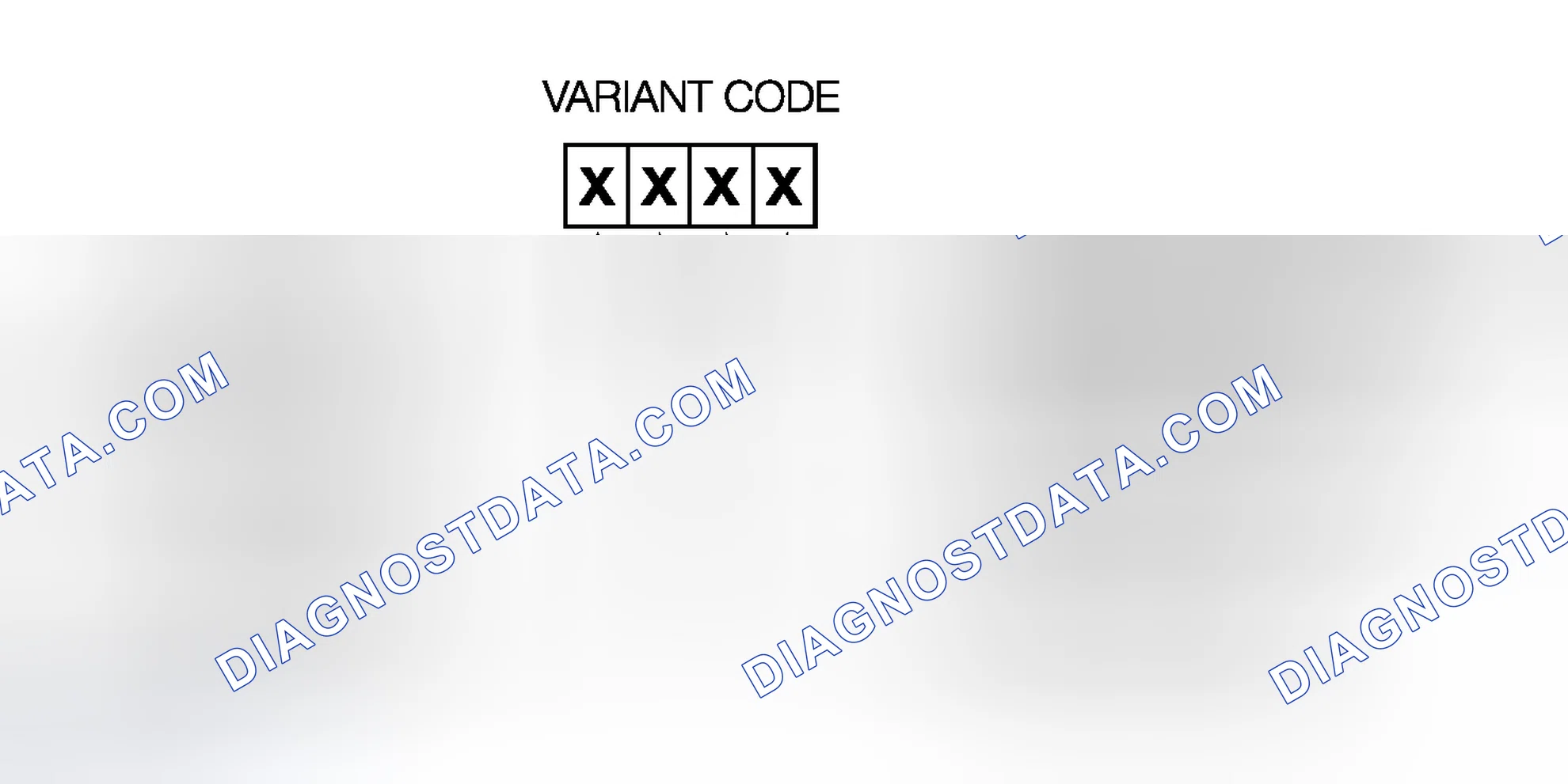 Scheme 242: Variant Code Structure