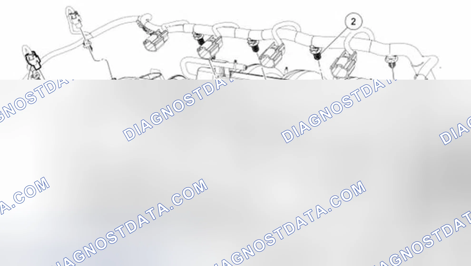 Scheme 794: Wiring Harness