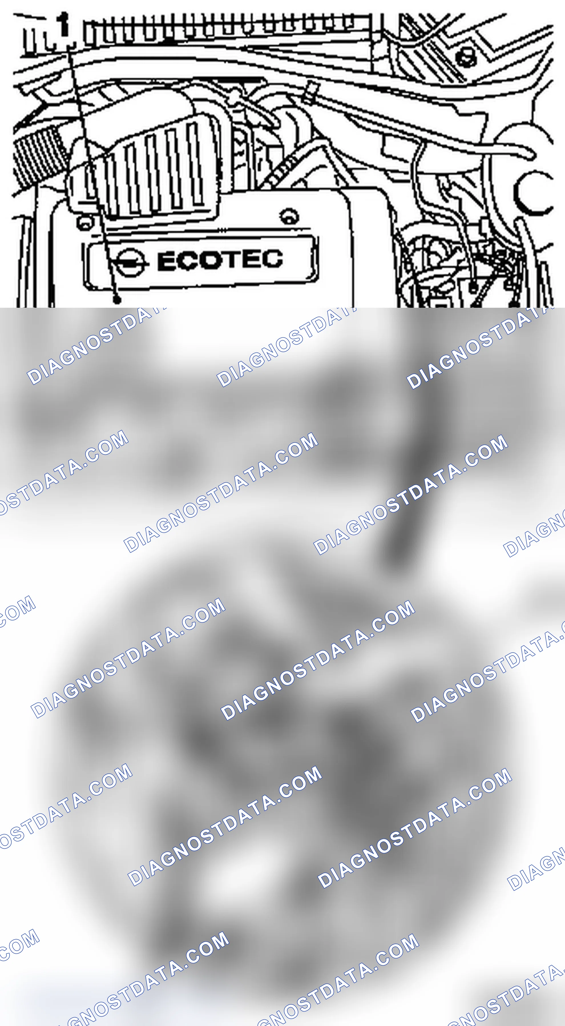 Remove and Install Exhaust Gas Recirculation Valve