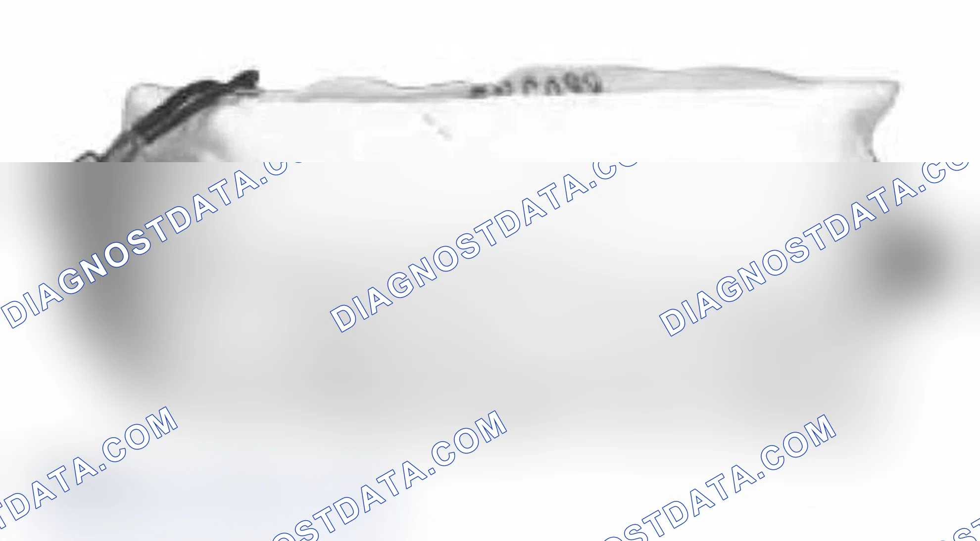 Scheme 22: Passenger's Front Airbag