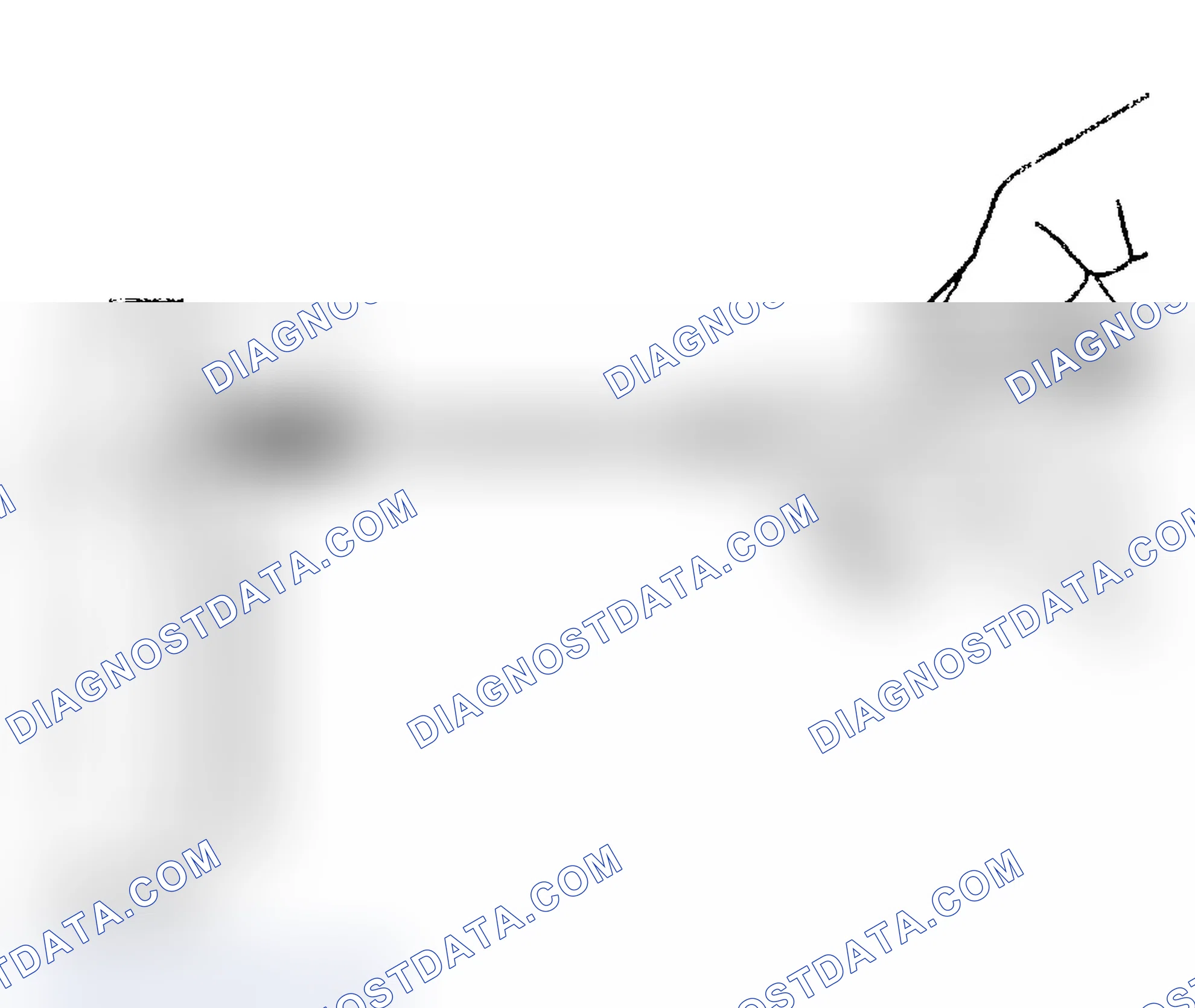 Scheme 1202