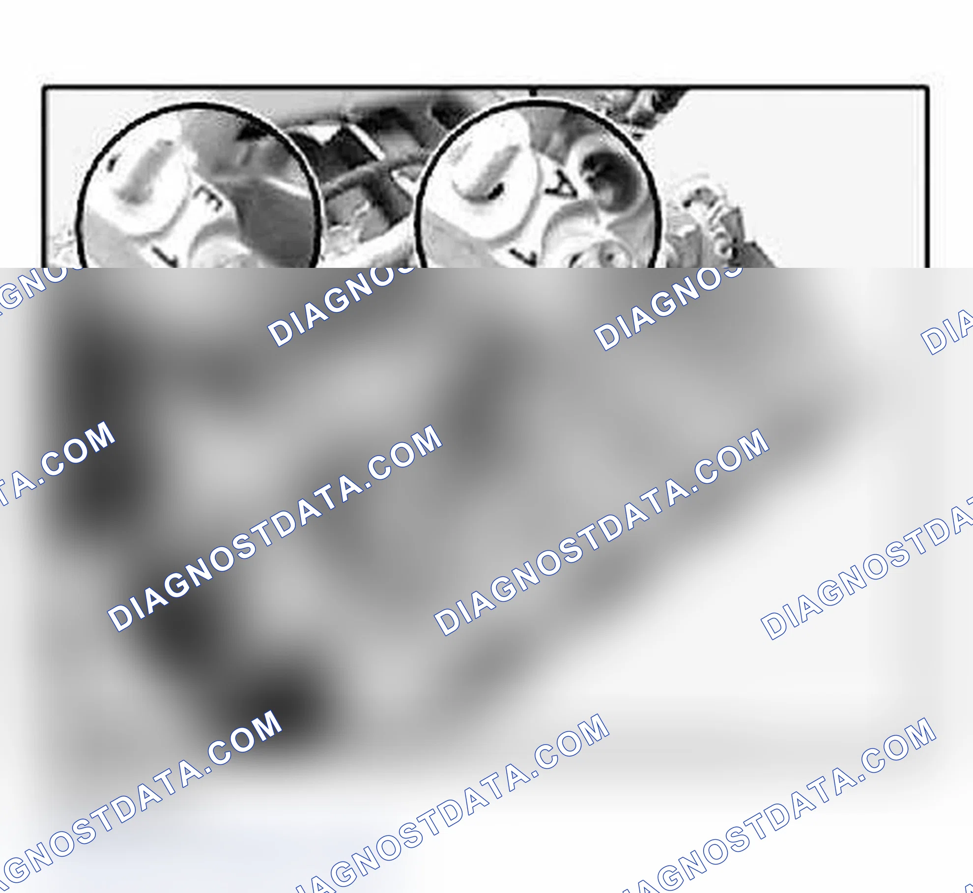 Scheme 268