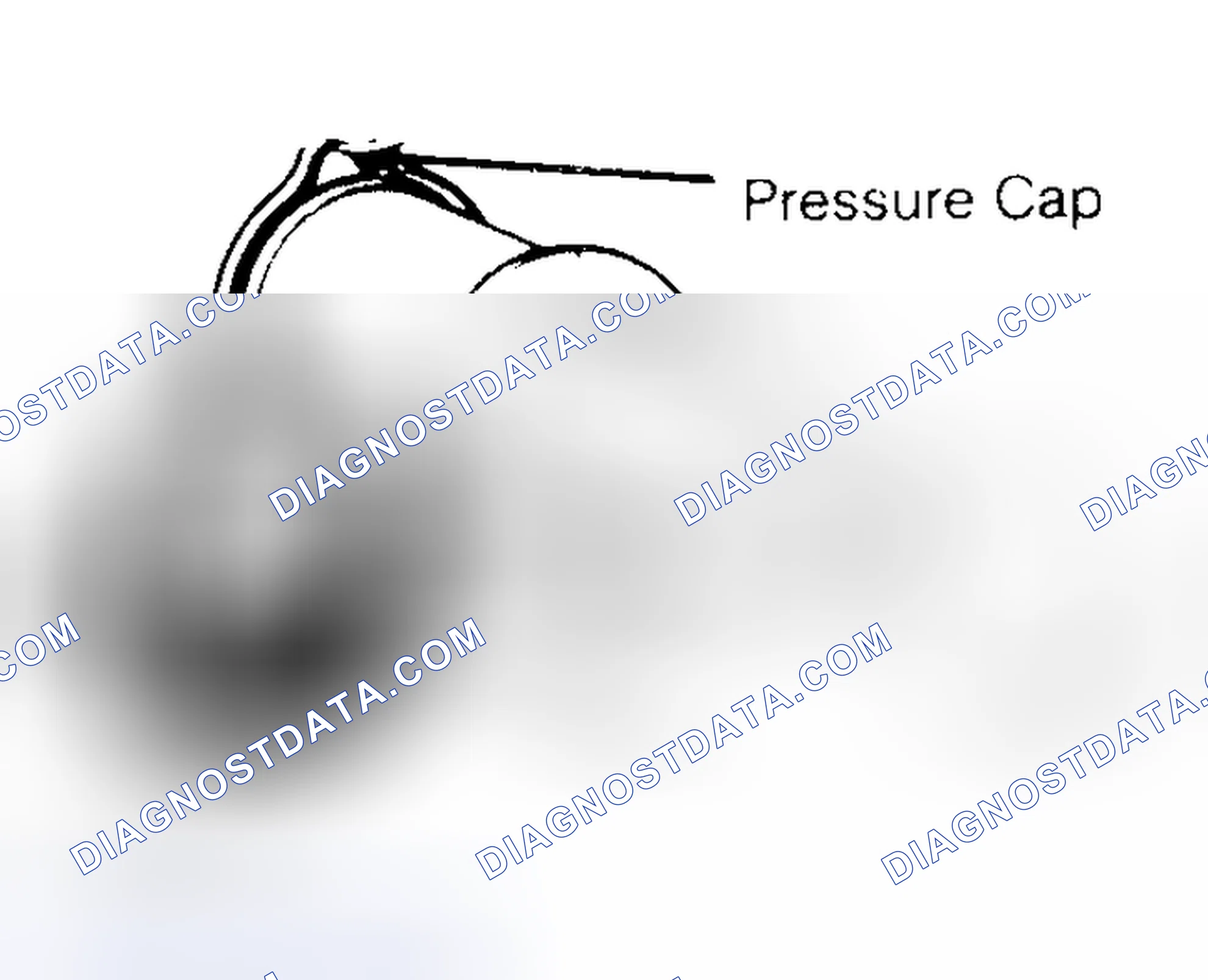 Scheme 2: Pressure Testing Radiator Cap