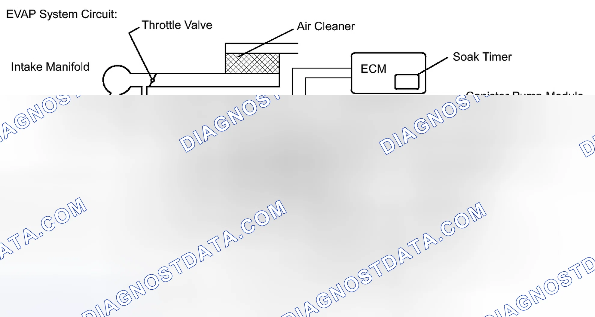 Scheme 521