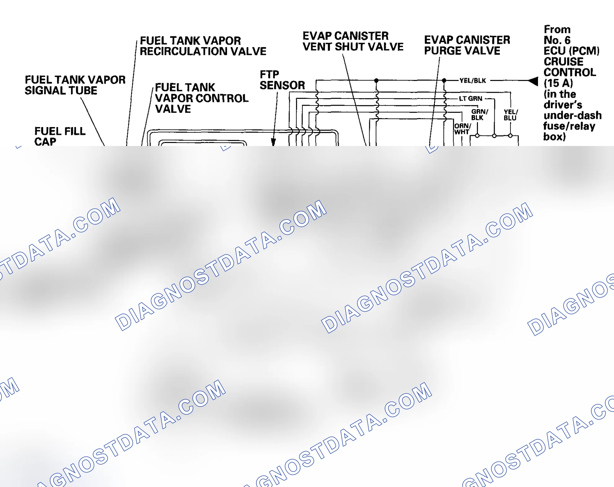 Scheme 48: 2003-2004 models