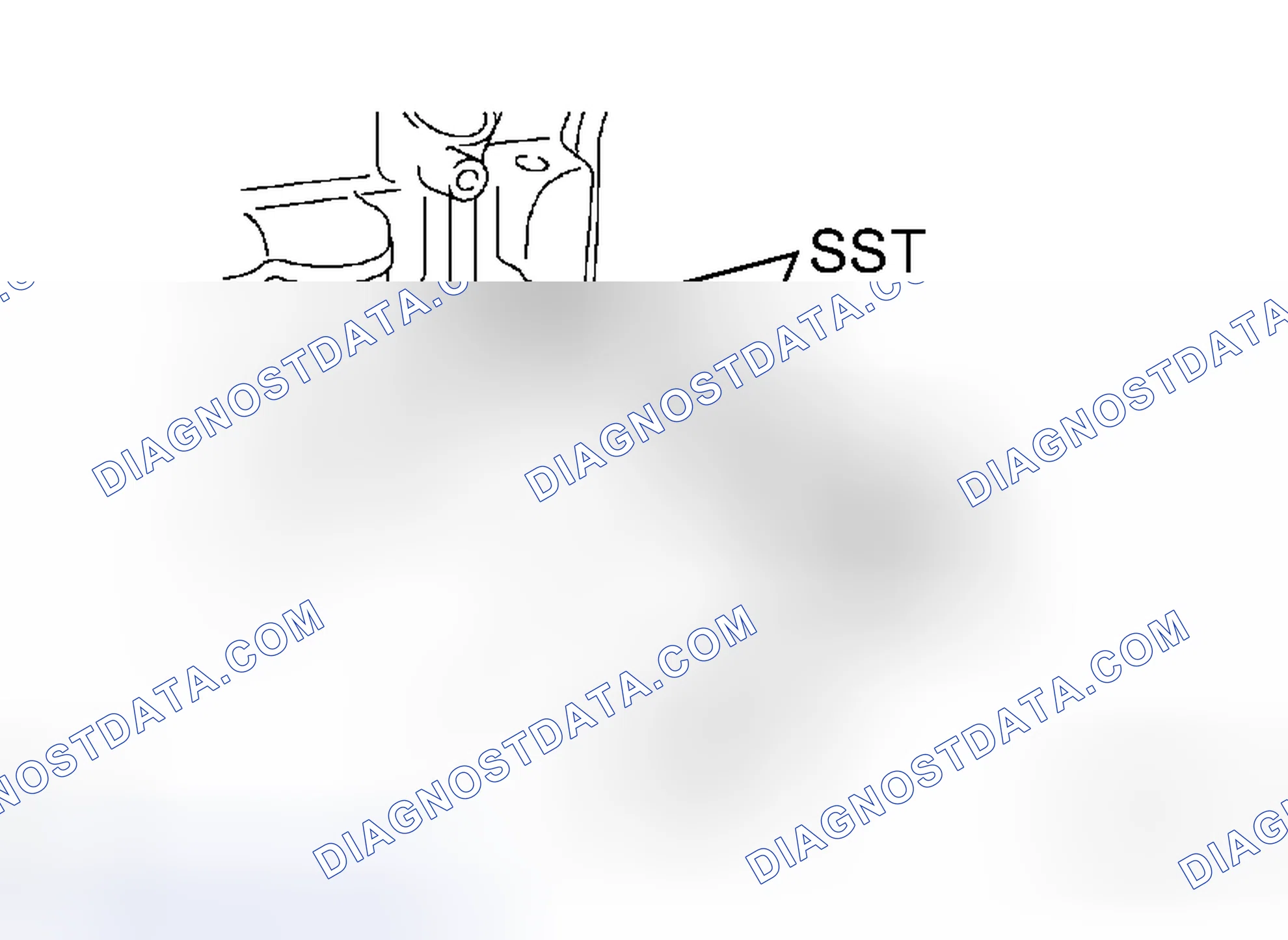 Scheme 368