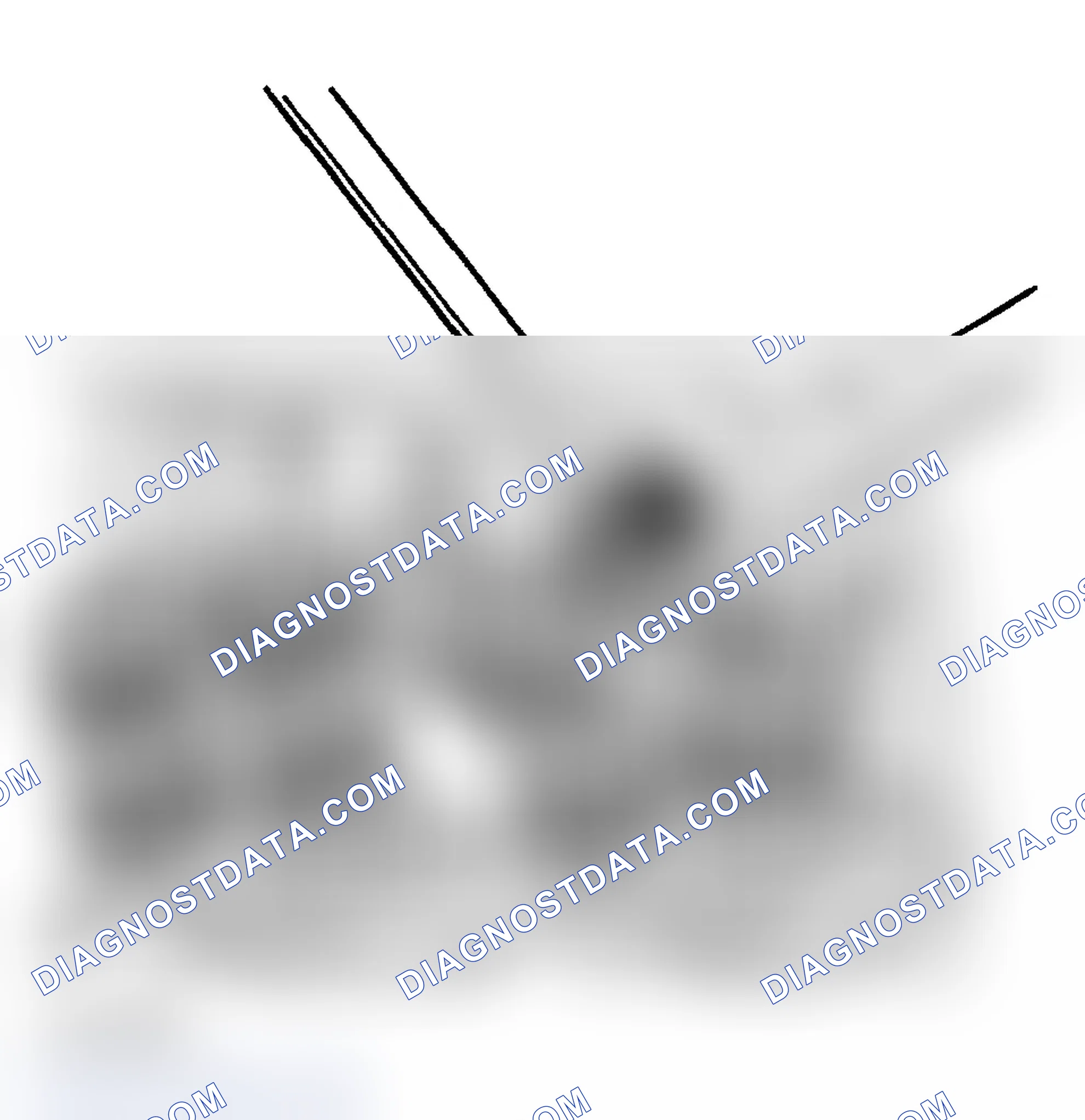 Scheme 955