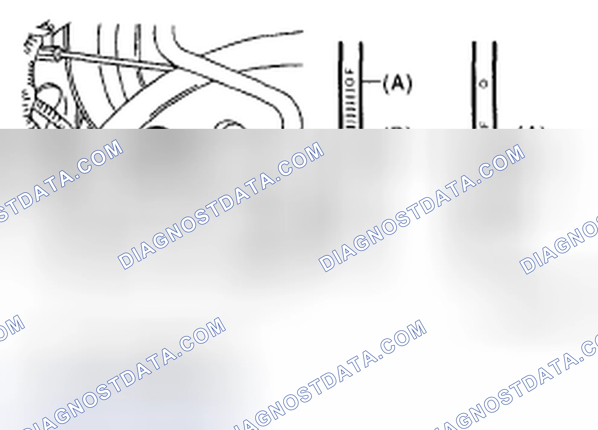Scheme 412: ATF LEVEL