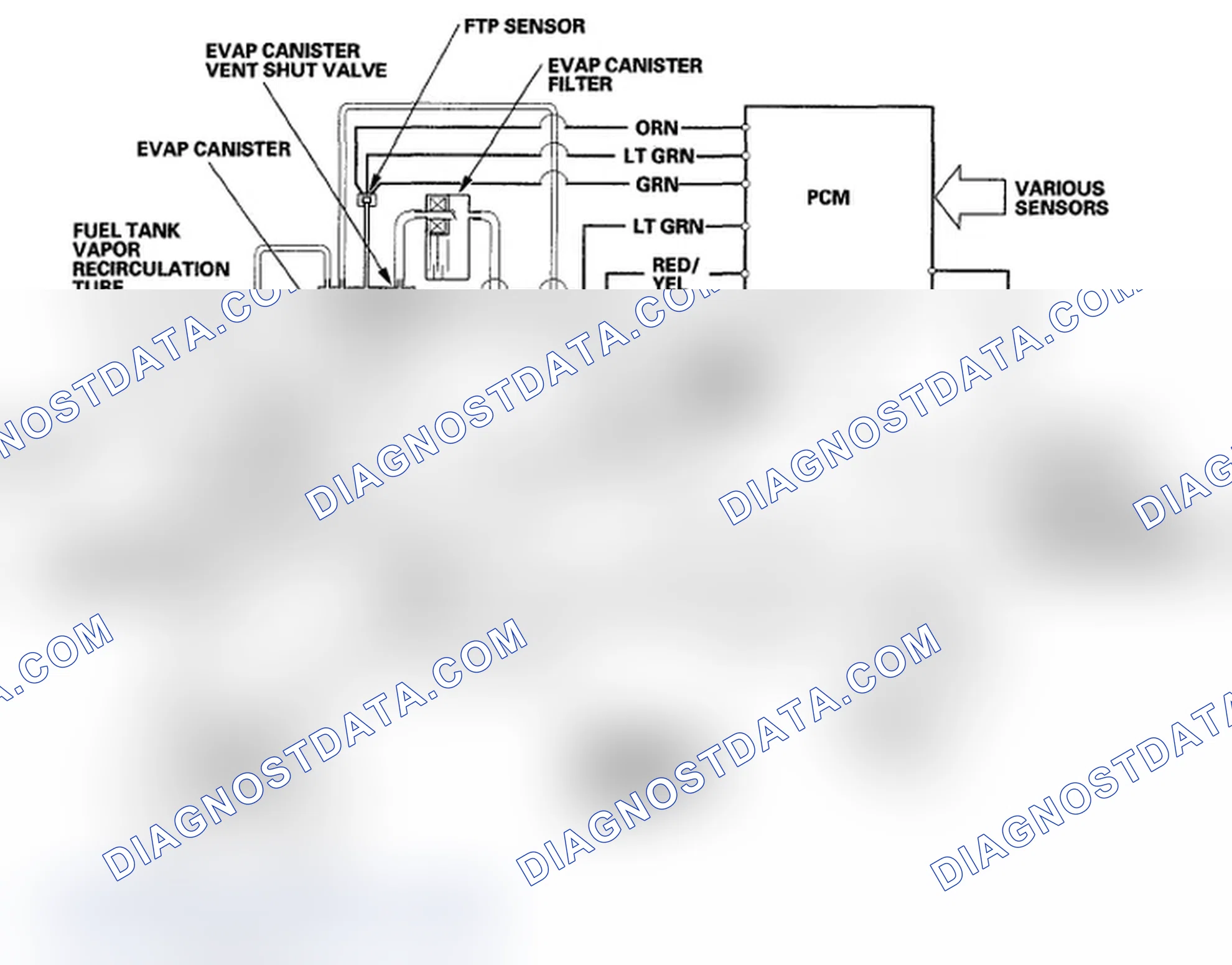 Scheme 229: Evaporative Emission (EVAP) Control Diagram