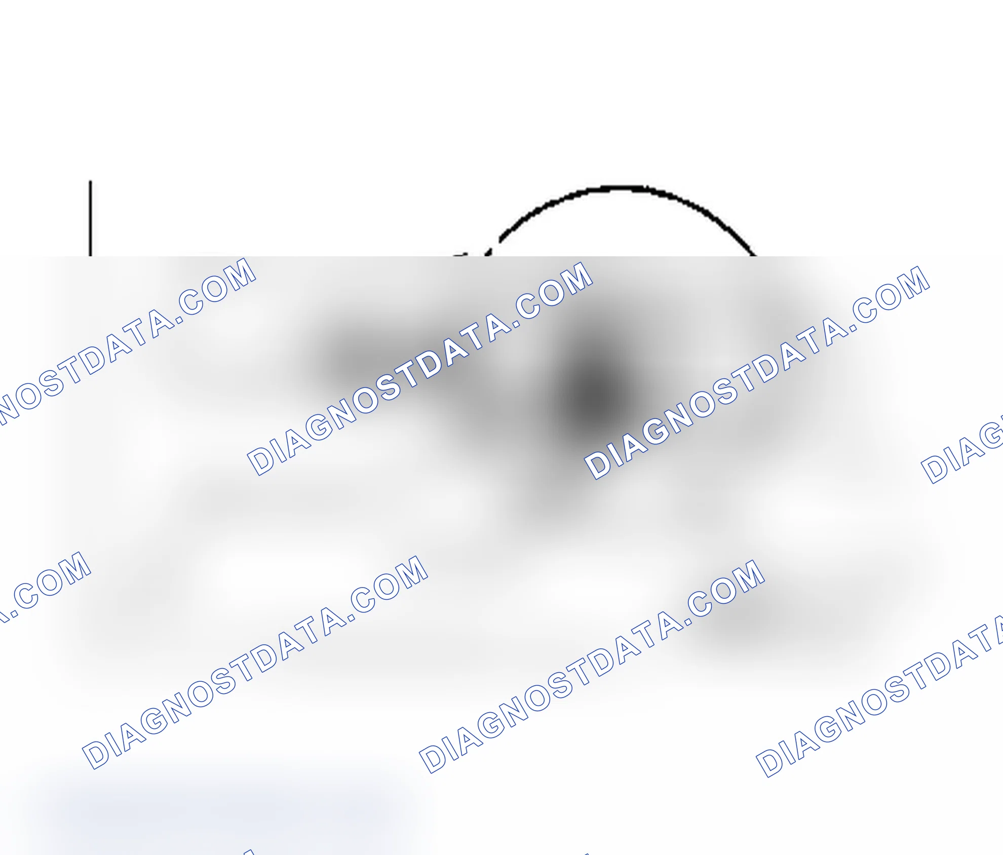 Scheme 30: Air Valve Spring Adjustment