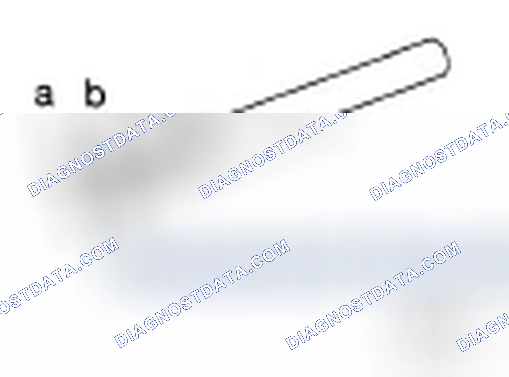 Scheme 419