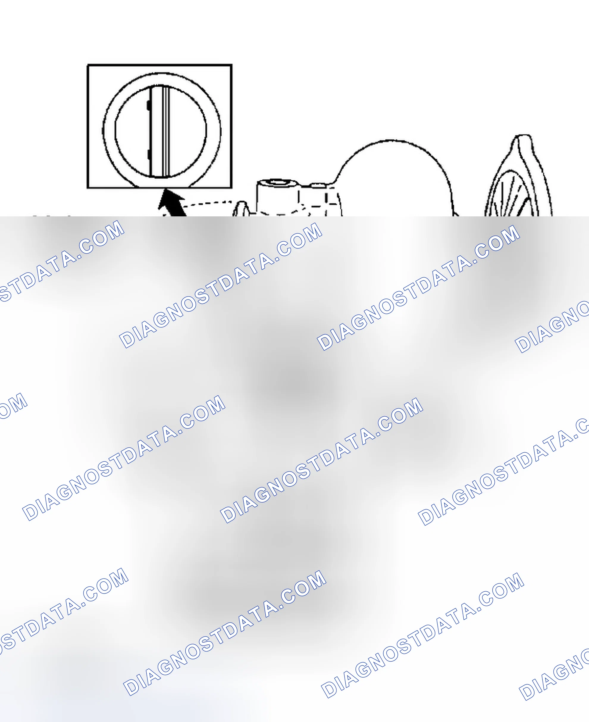 Scheme 284: Diagnostic Aids