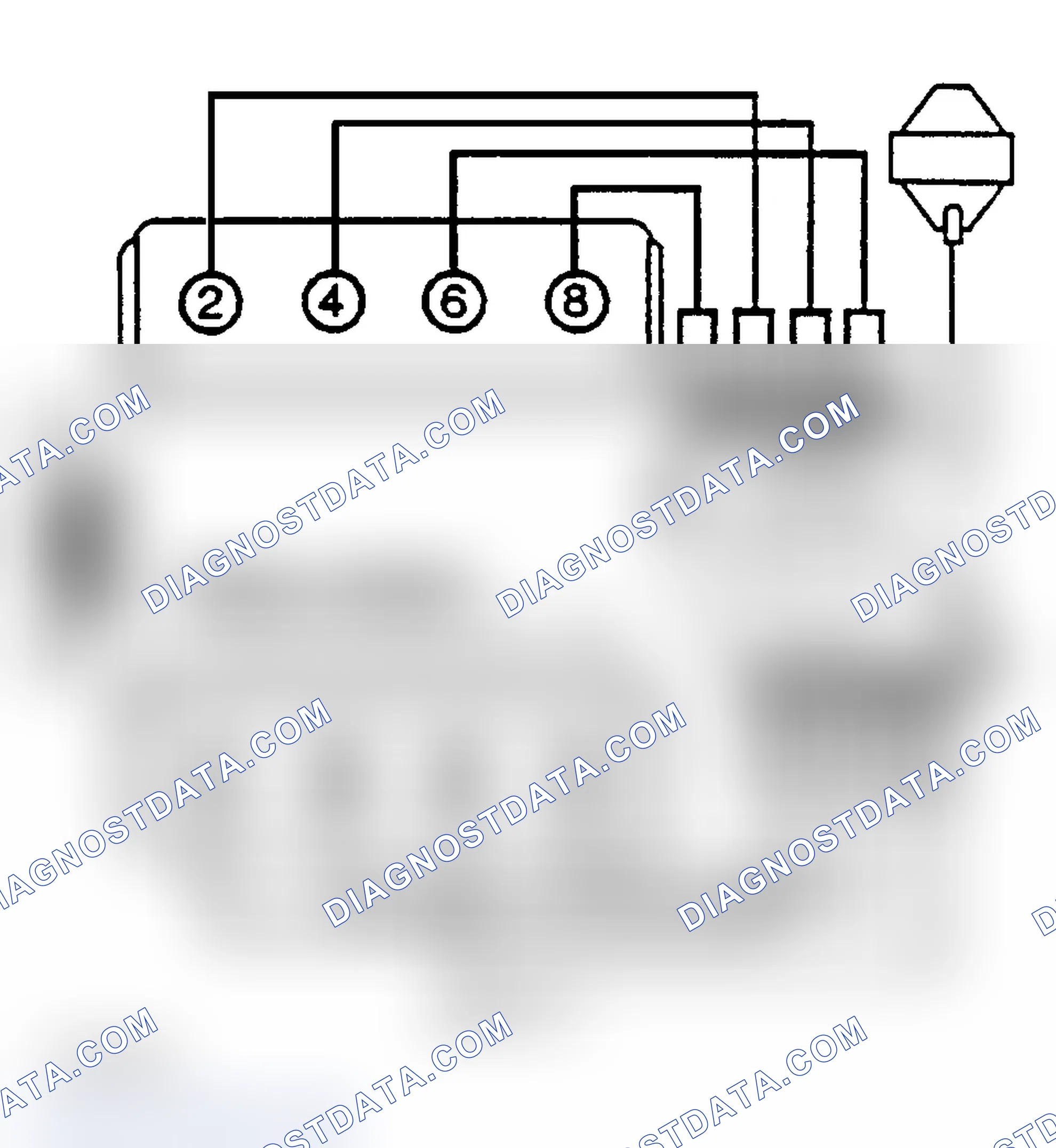 Scheme 8: Firing Order (5.0L & 5.7L)