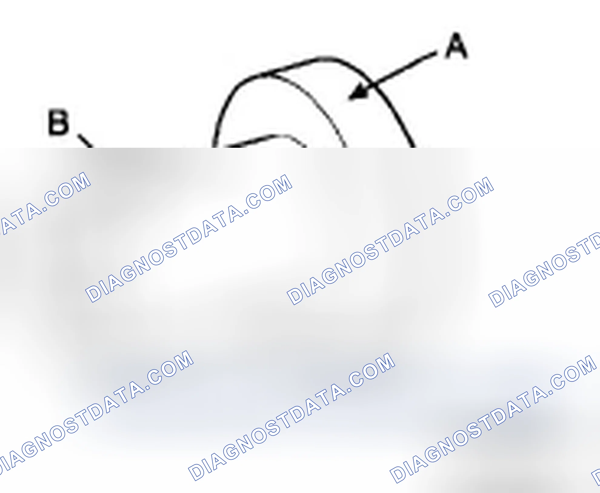 Scheme 339