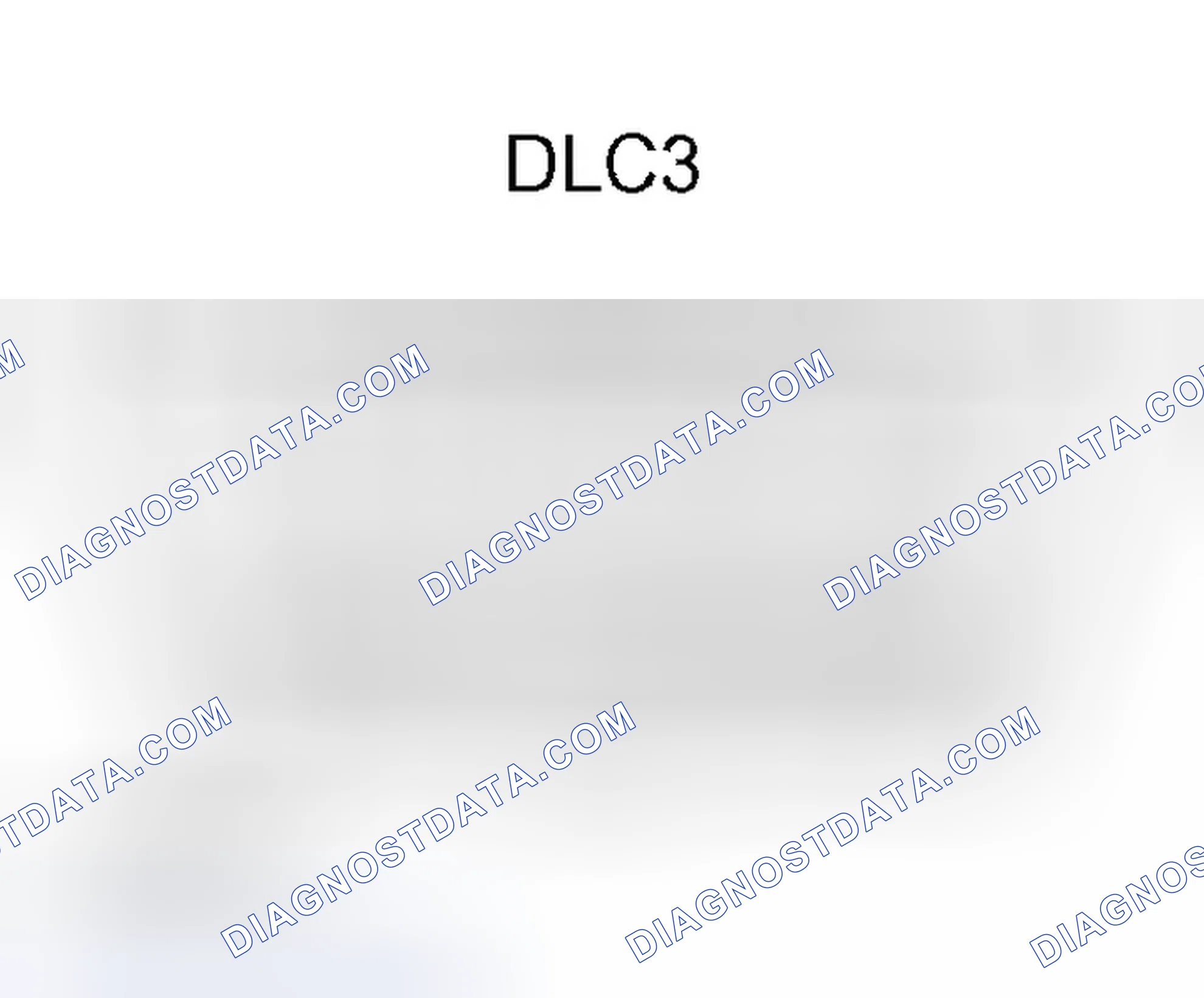 Scheme 313: DLC3 (Data Link Connector 3)