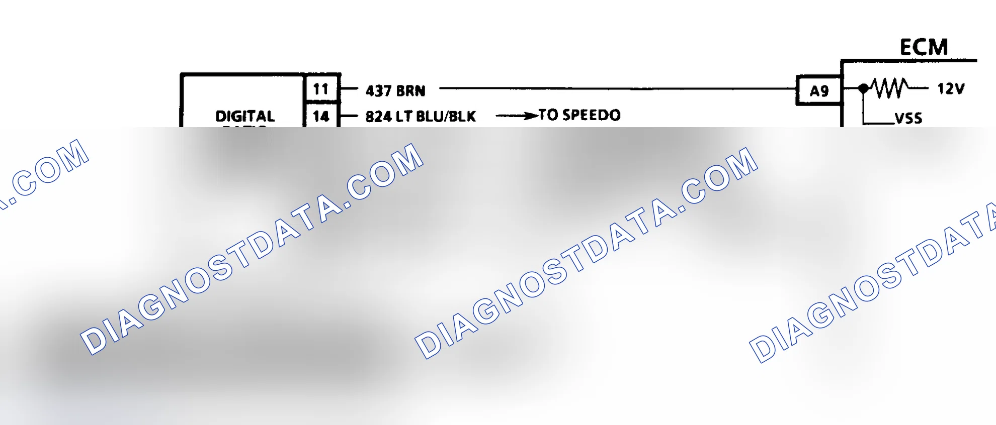 Scheme 277: CODE 24, VEHICLE SPEED SENSOR - 1991 DIESEL