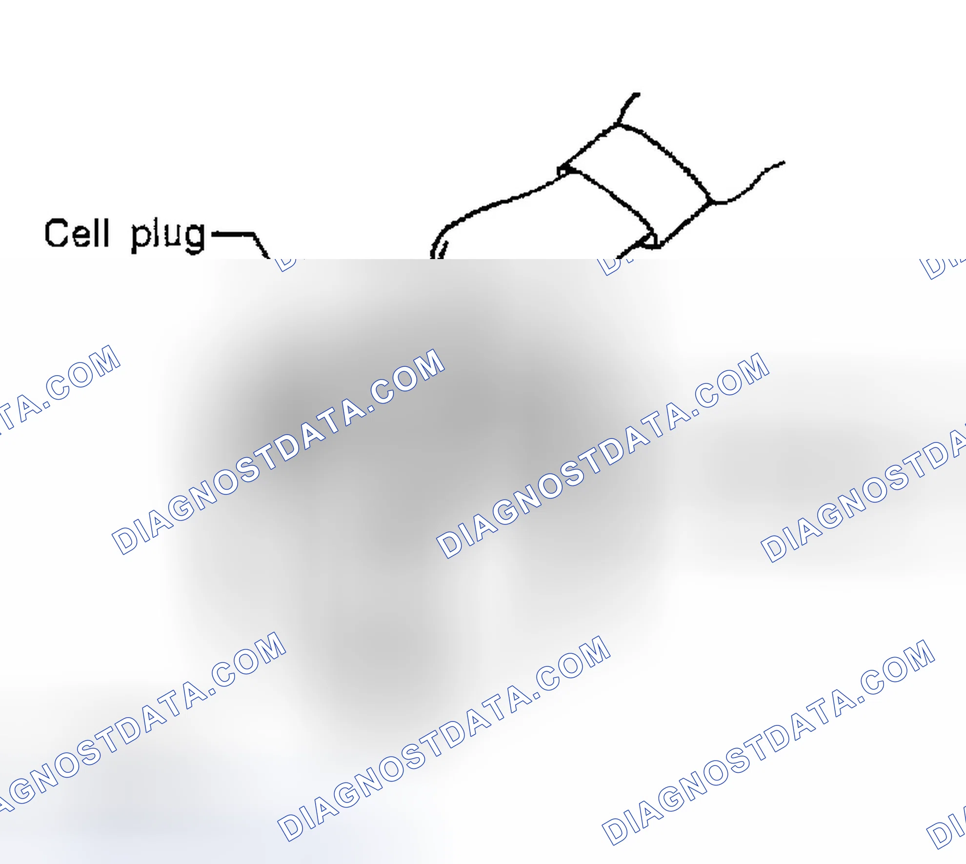 Scheme 12