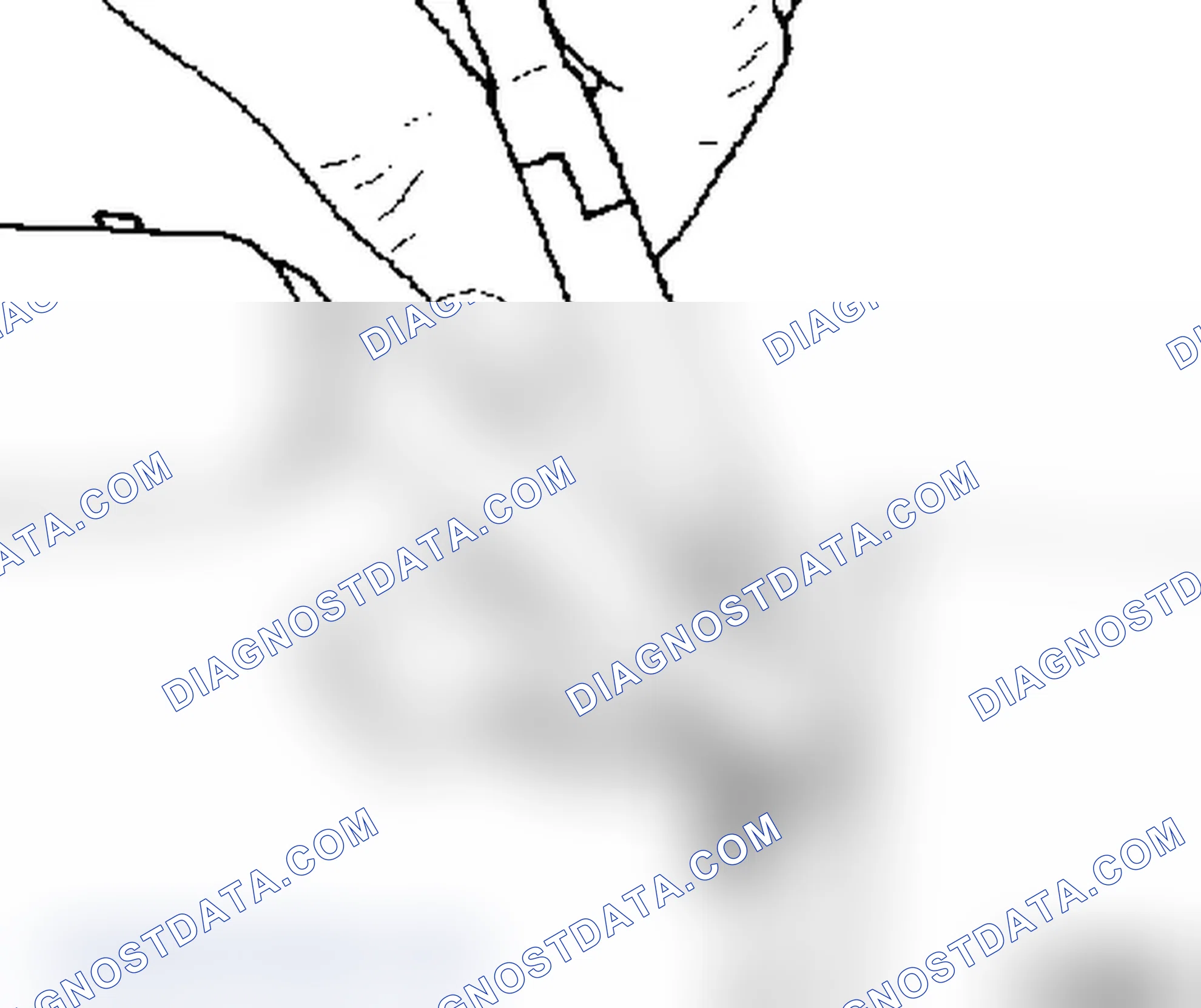 How to Replace the Carbon Brushes