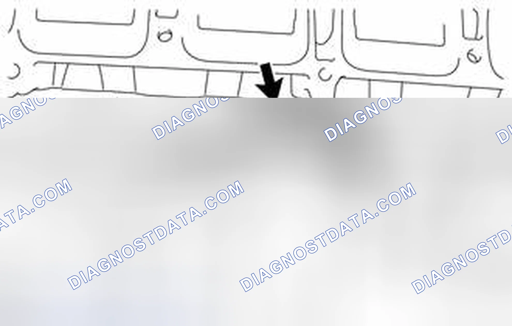 Scheme 80: REMOVAL [05/2013 - ]