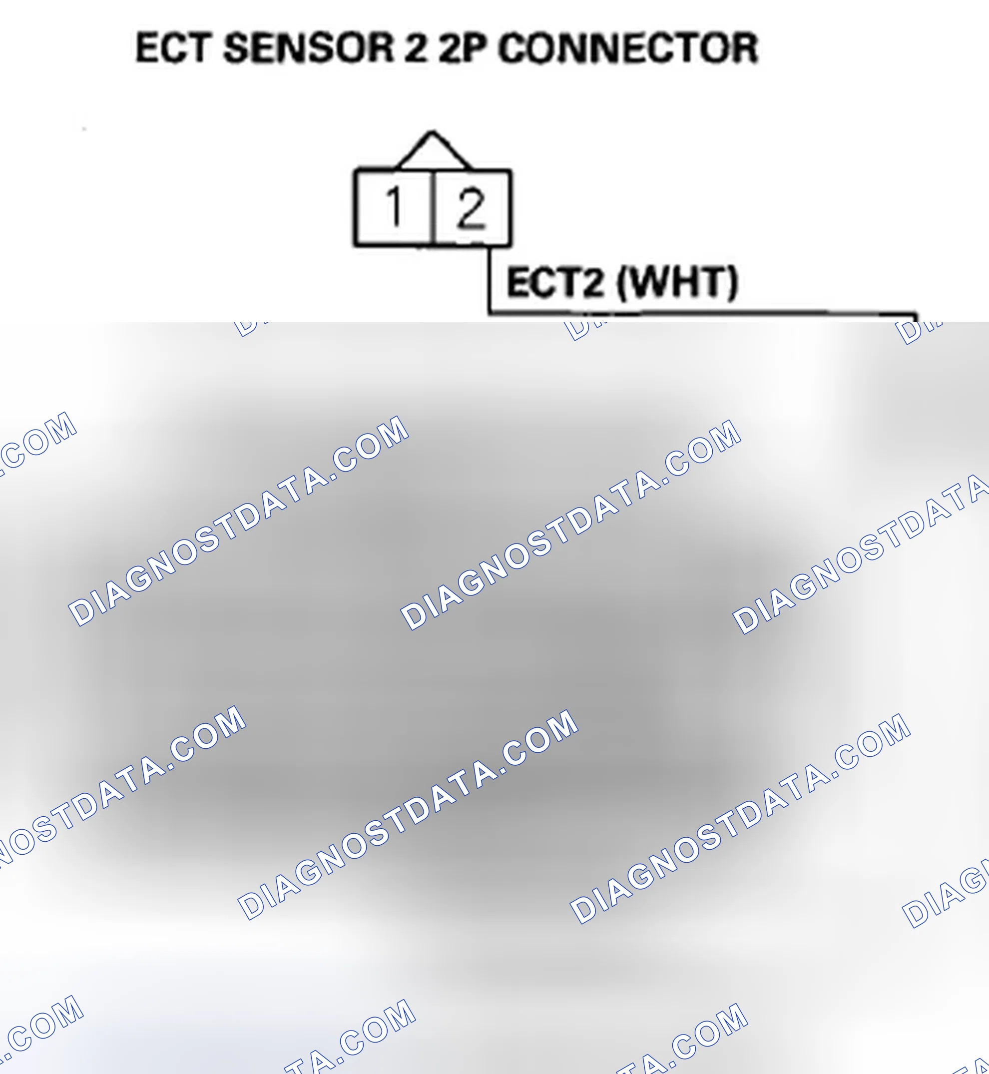 Scheme 475