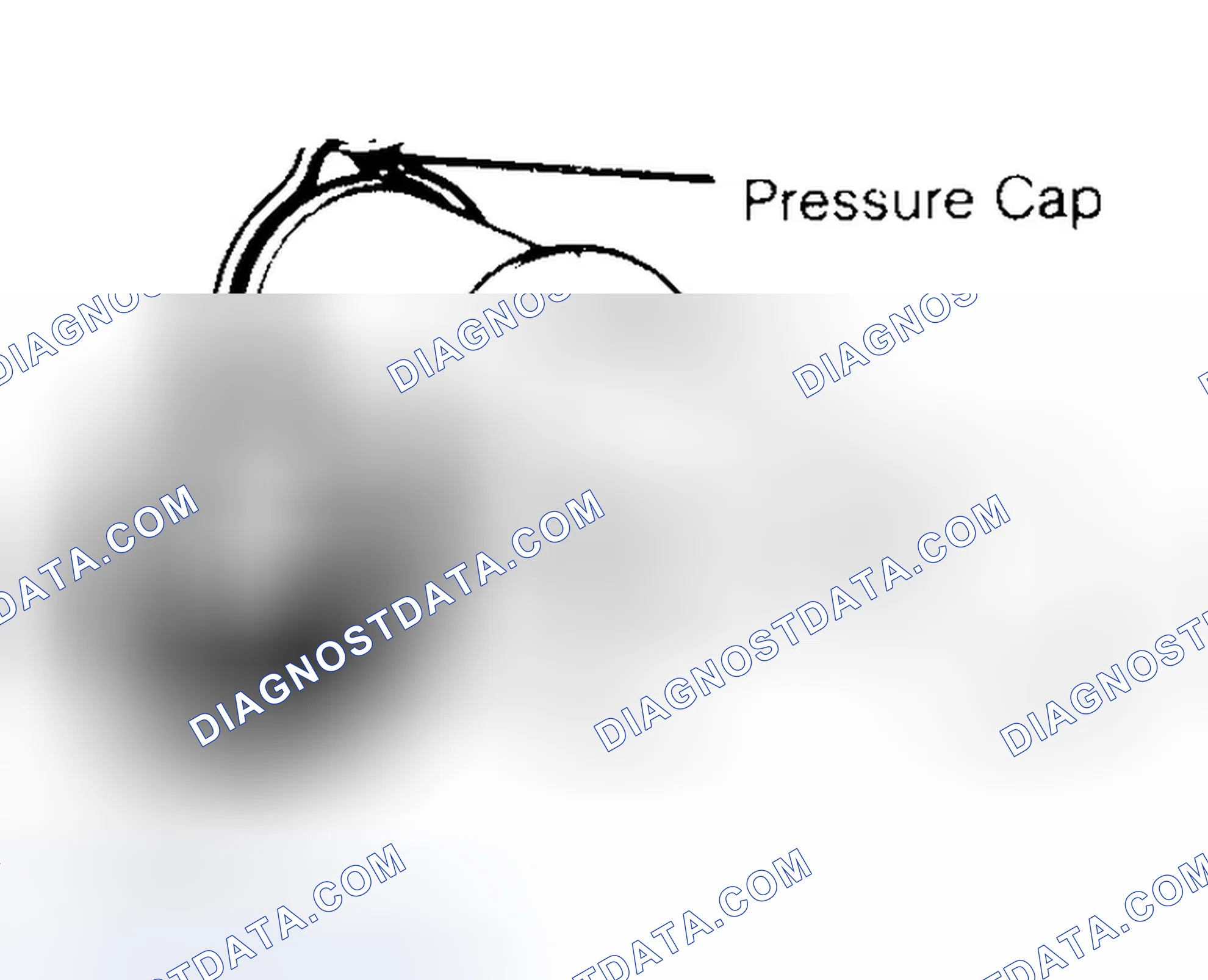 Scheme 2: Pressure Testing Radiator Cap