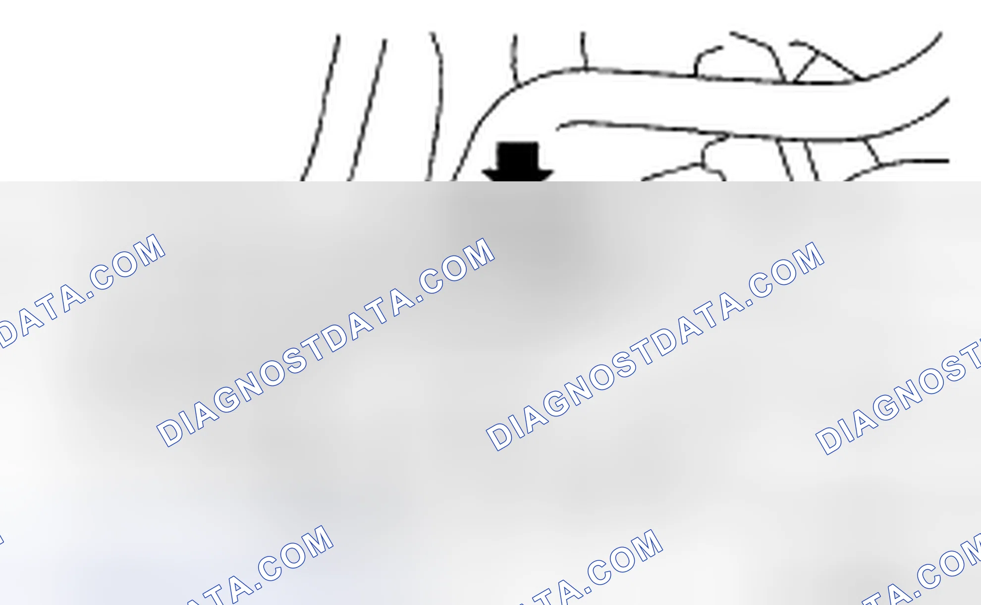 Scheme 264