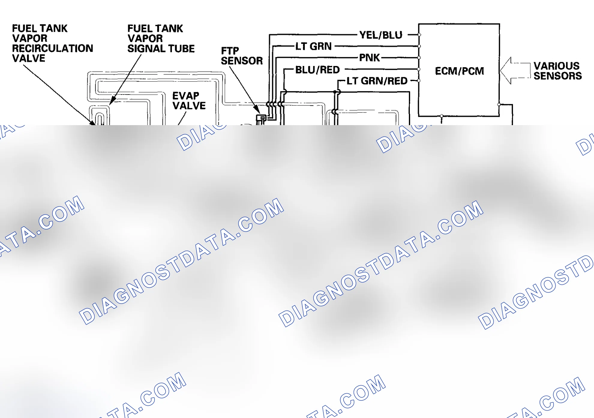 Scheme 89: Evaporative Emission (EVAP) Control Diagram-2002-2004 Models