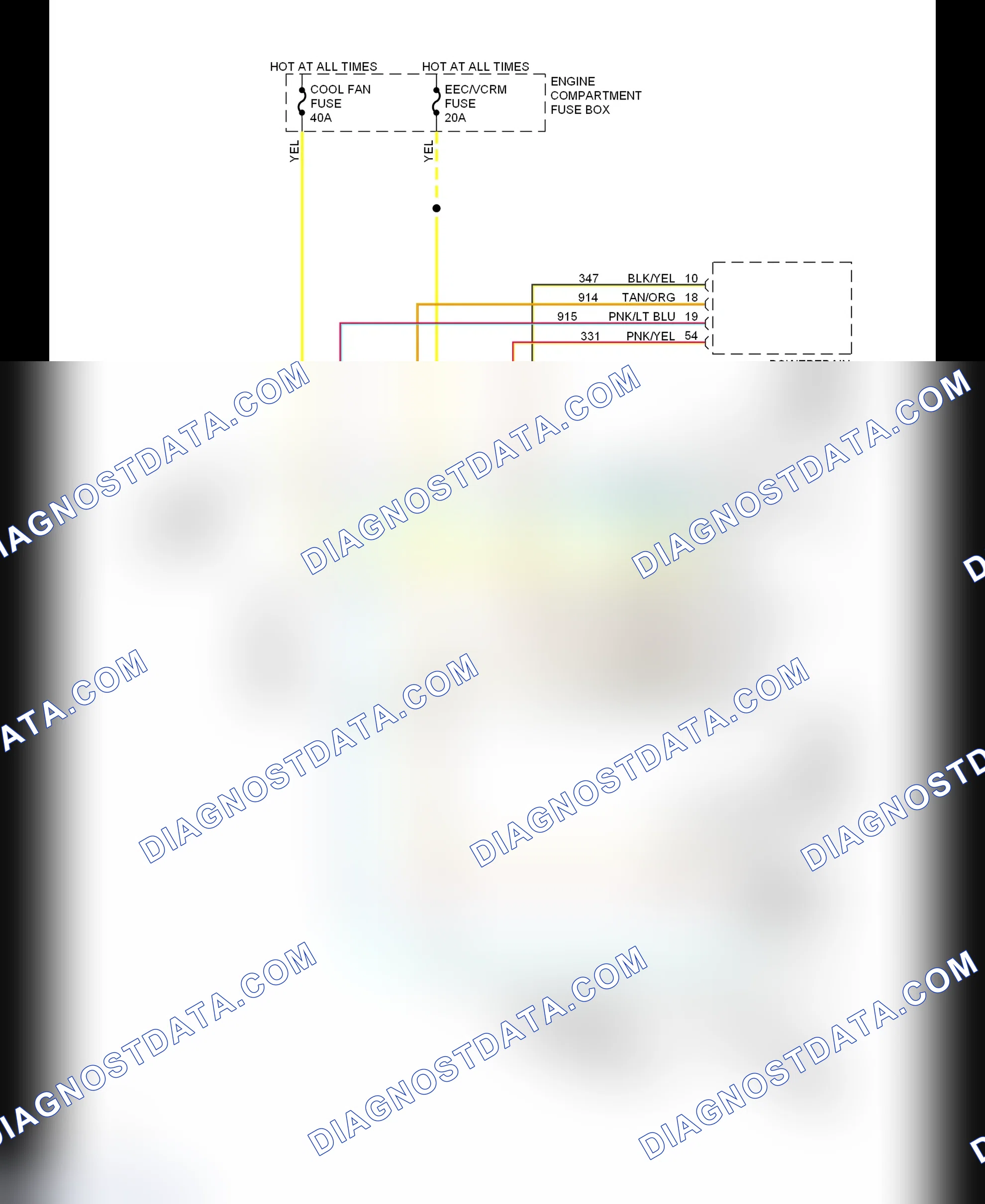 Scheme 5: Cooling Fan System Wiring Diagram (4.6L)