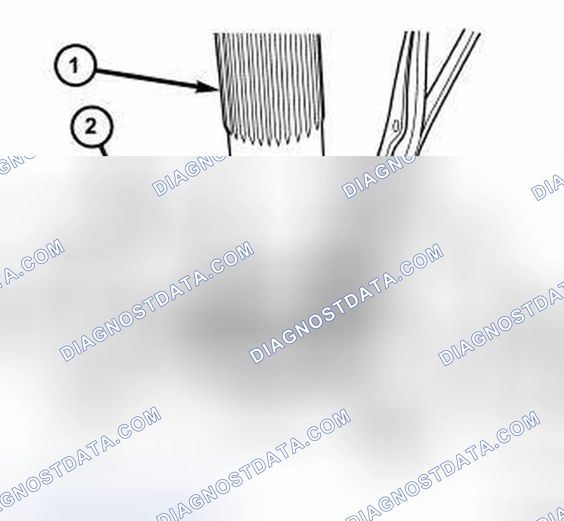 Scheme 75