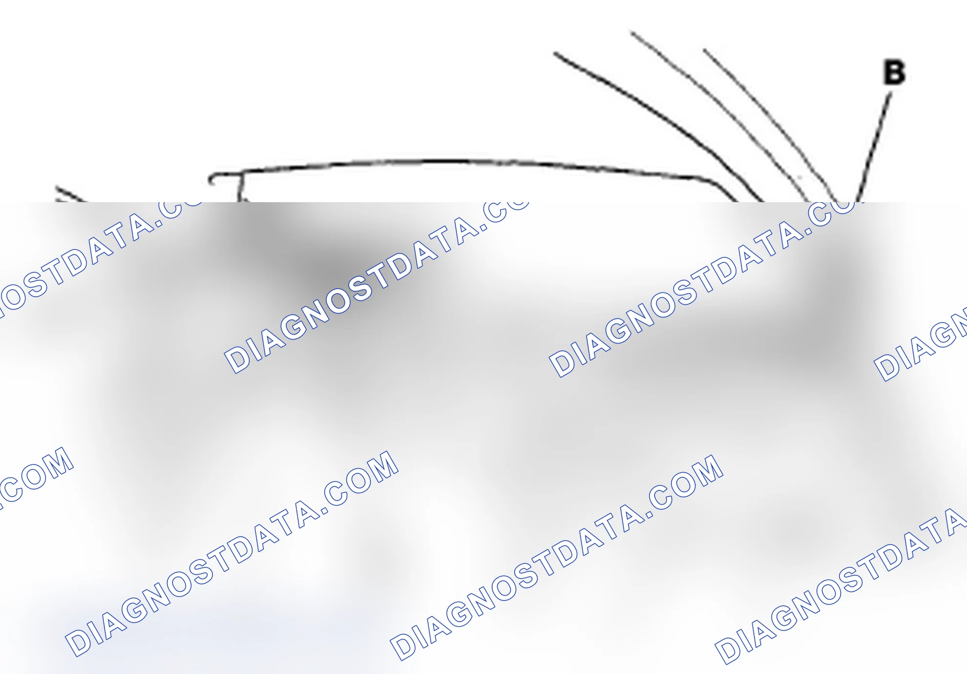 Scheme 26: Rear Window Replacement