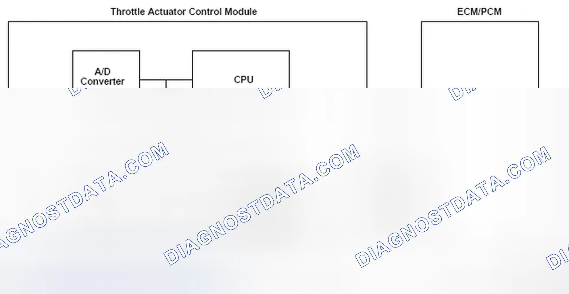 Scheme 143: Communication Diagram Between Throttle Actuator Control Module And ECM/PCM