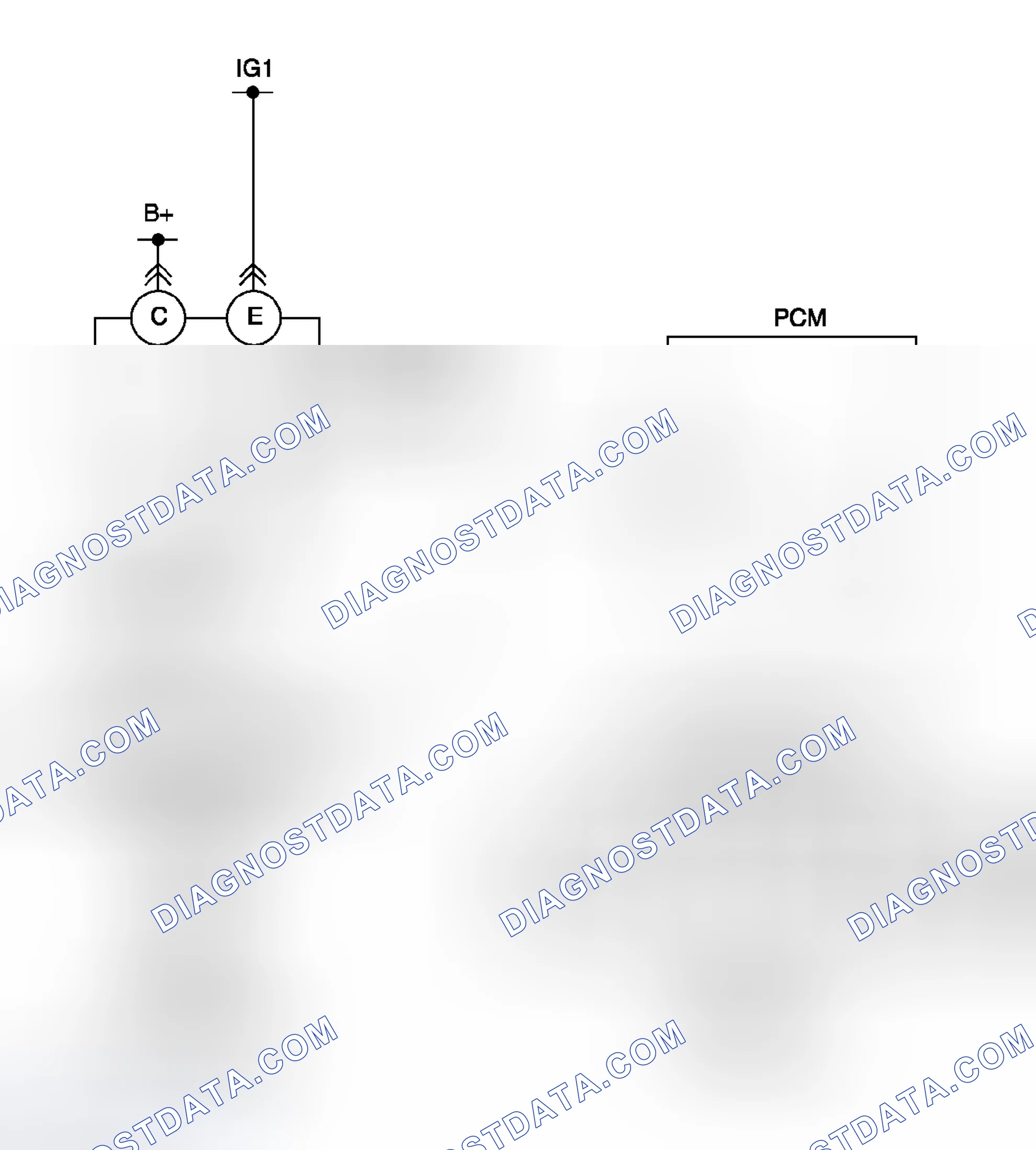 Scheme 29: Diagnostic Procedure