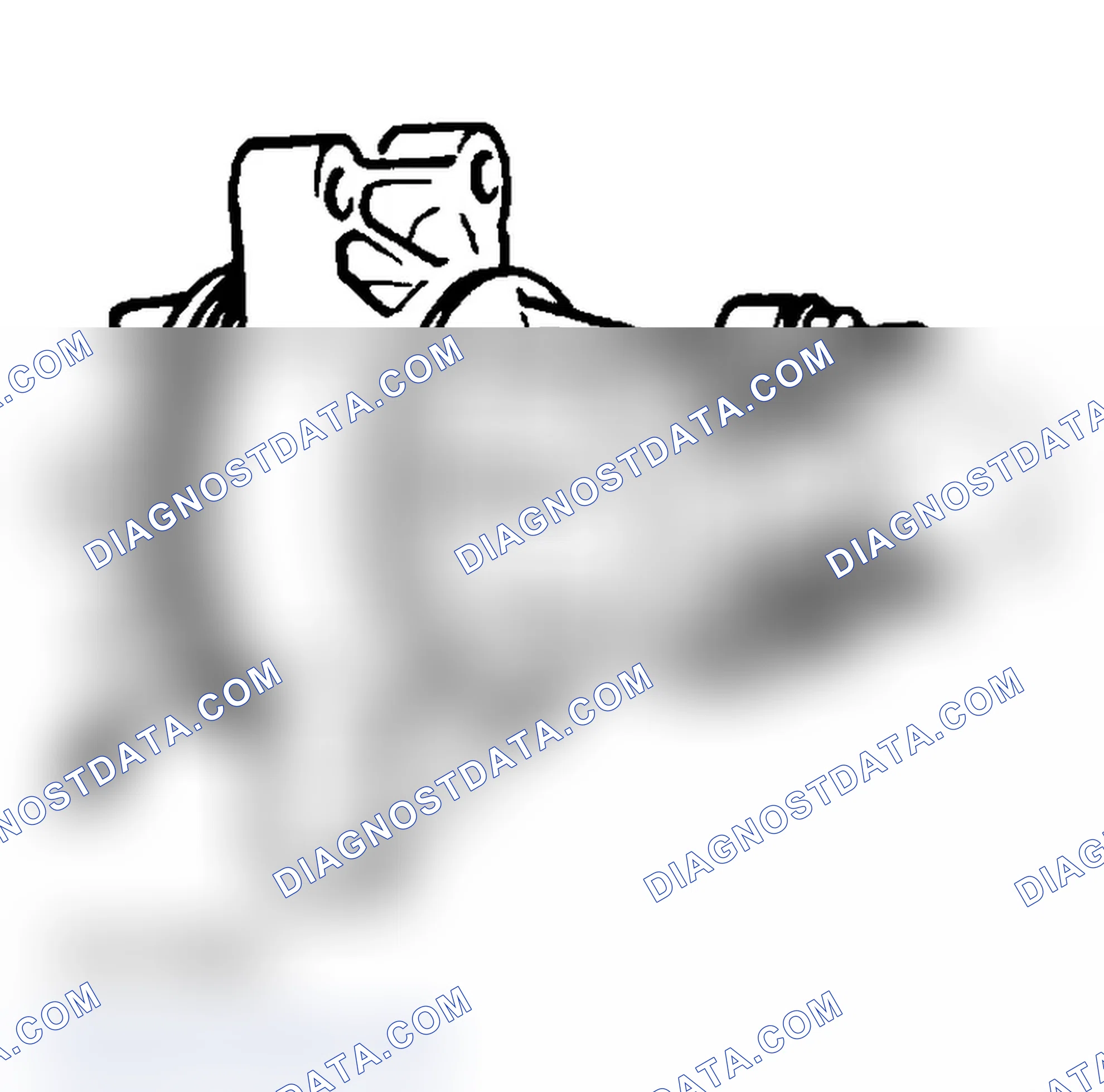 Scheme 18: Water Pump Inspection