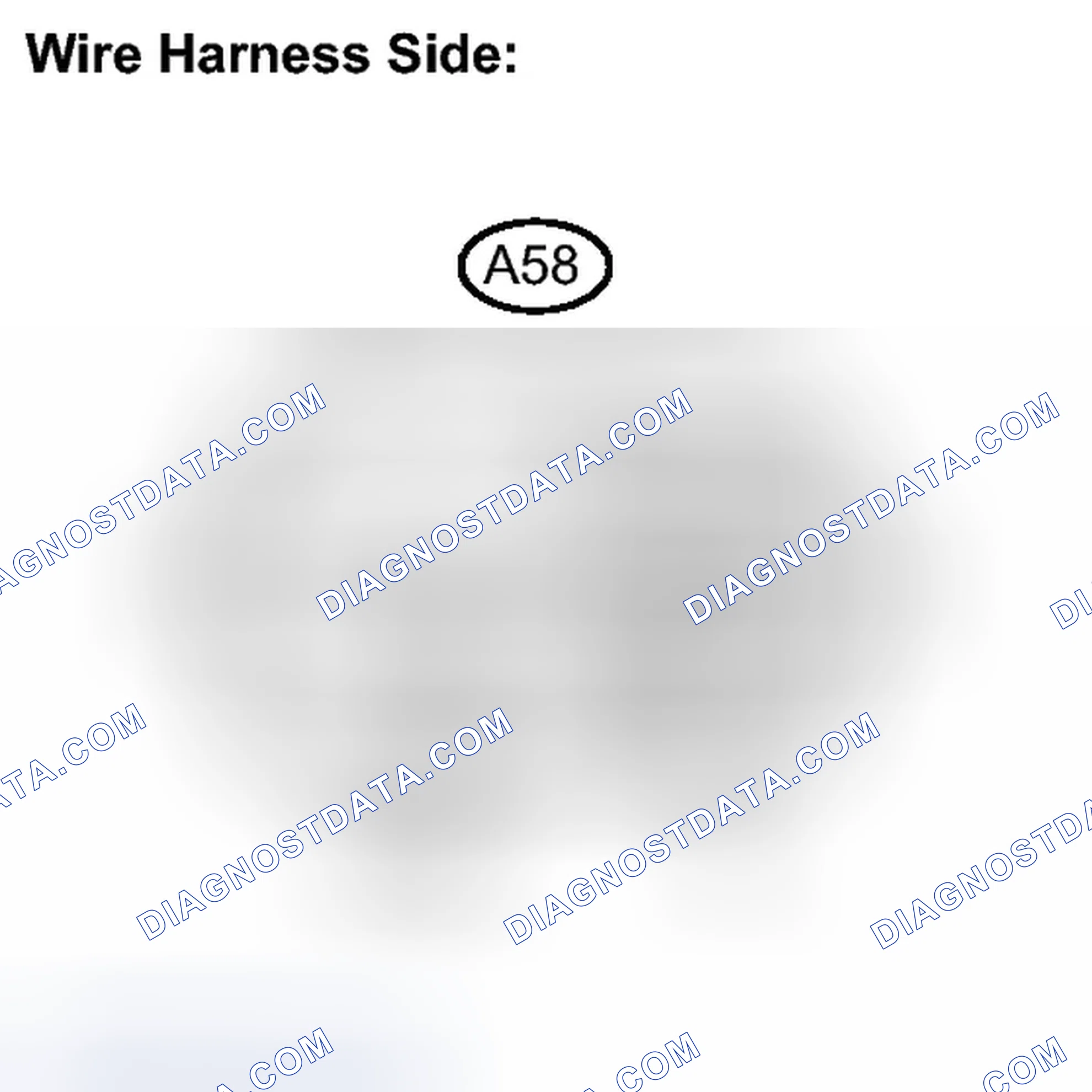 Scheme 296