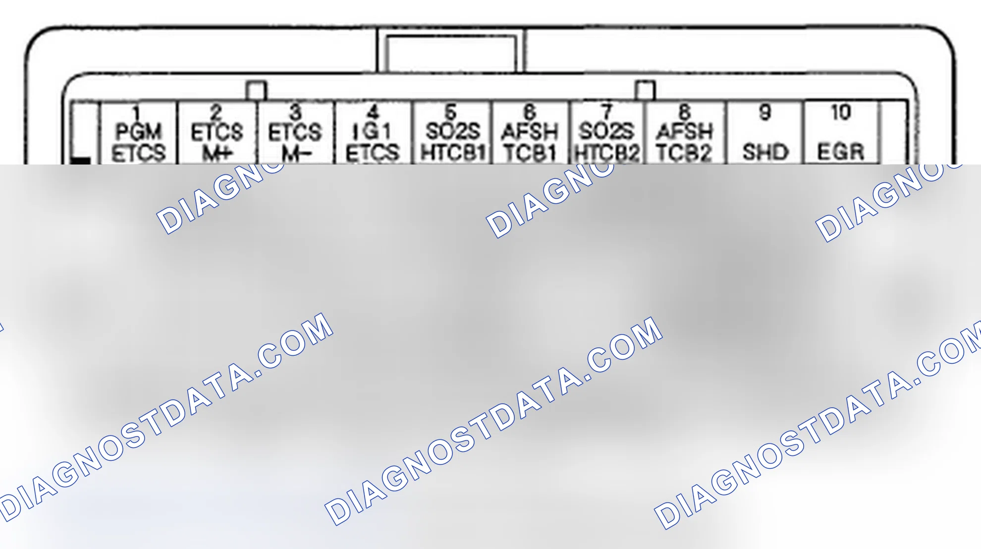 Scheme 204: PCM Inputs and Outputs at Connector C (o) (49P)