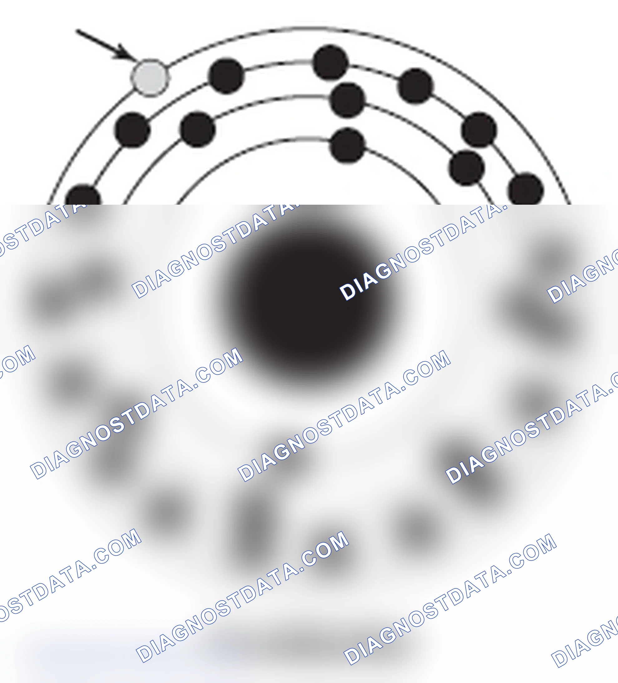 Scheme 233: Conductors