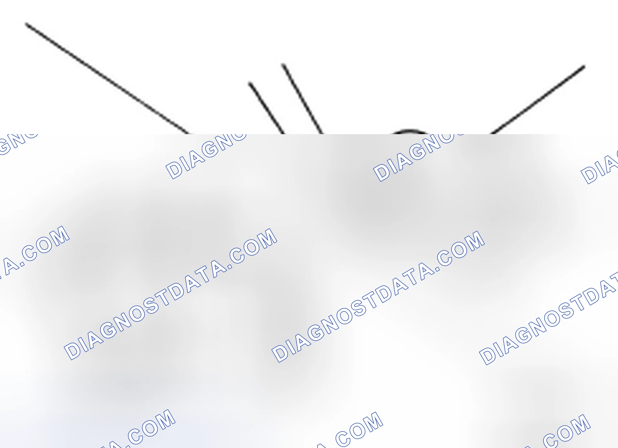 Scheme 46: Changing Brake Fluid