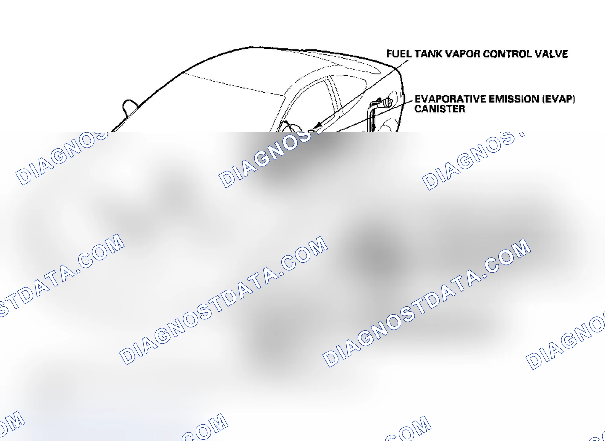 Scheme 101: 2002-2004 models