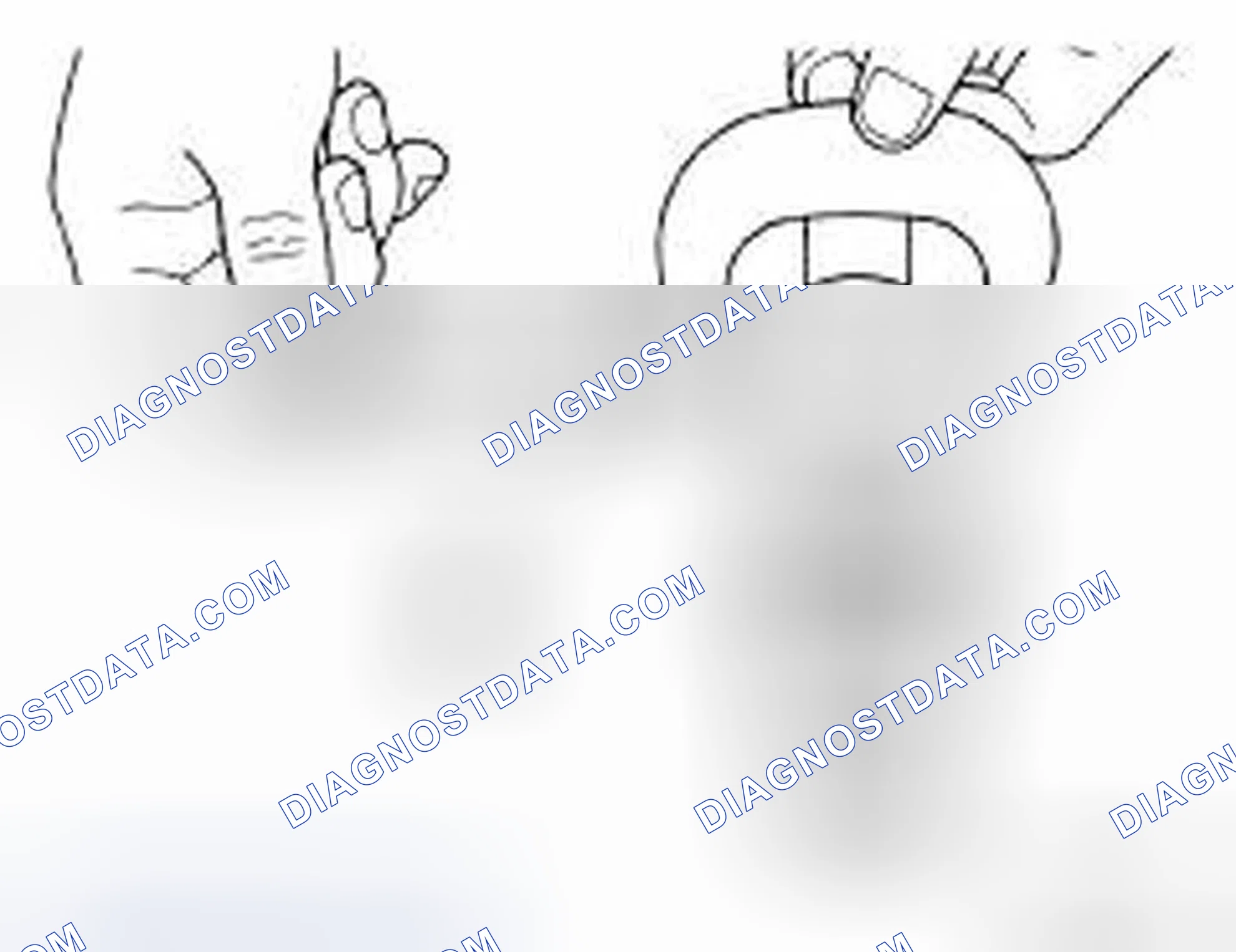 Scheme 137: Camshaft Cam Height