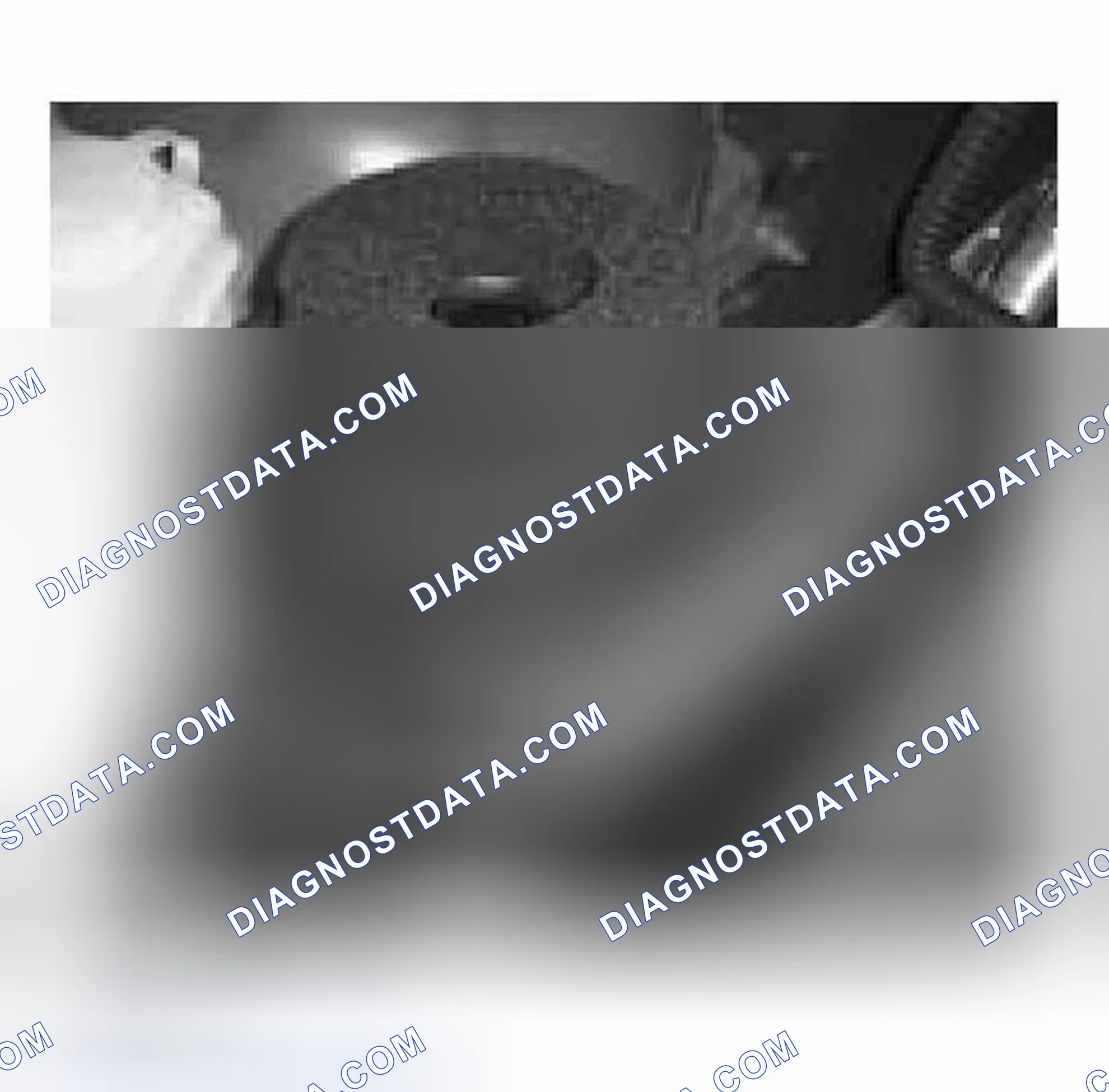 Scheme 459: Identifying Secondary Air Injection