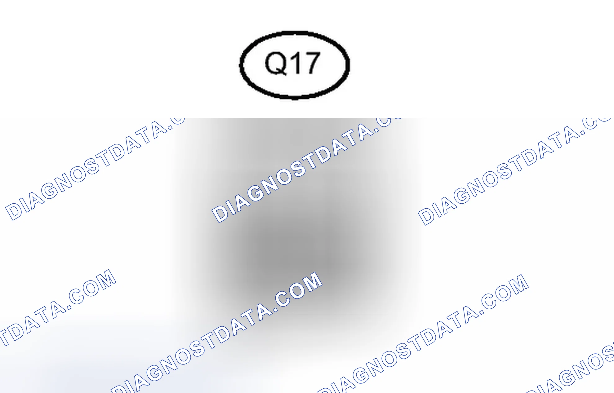 Scheme 171