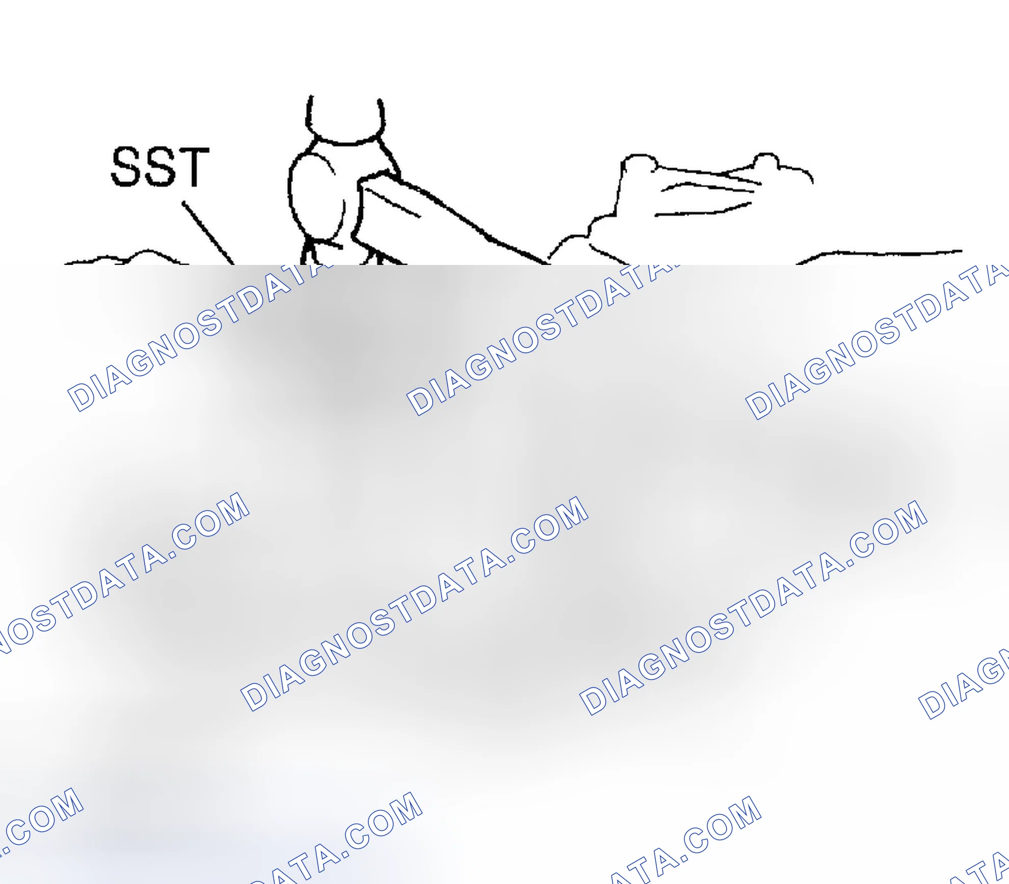 Scheme 57