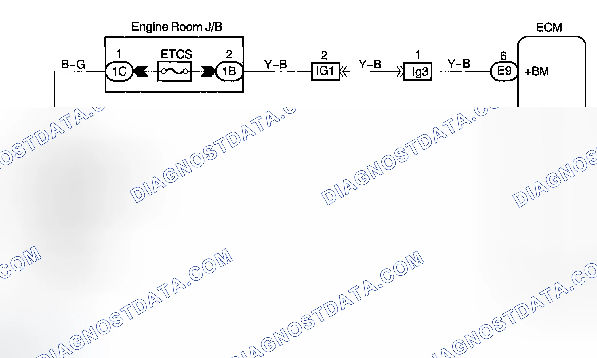 Scheme 521: WIRING DIAGRAM