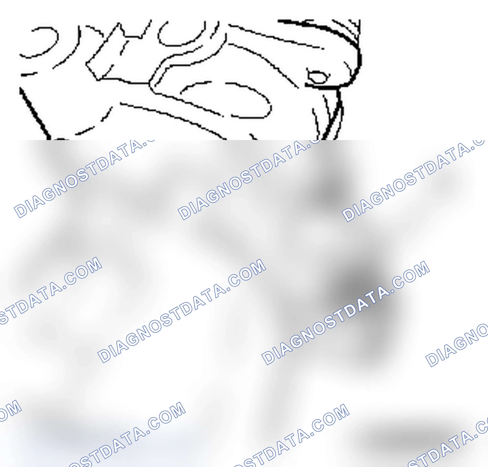 Remove and Install Exhaust Gas Recirculation Valve