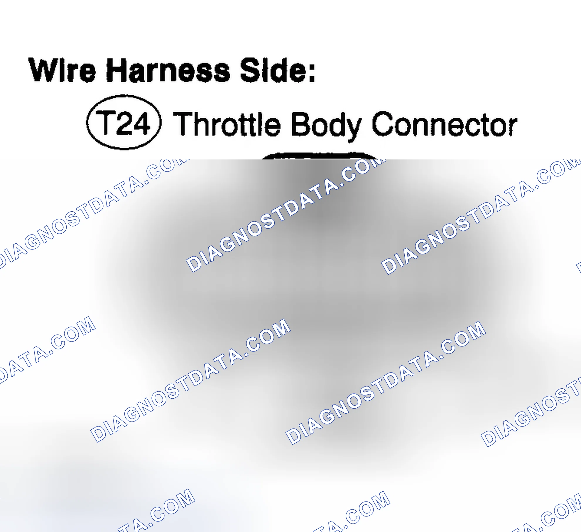 Scheme 177
