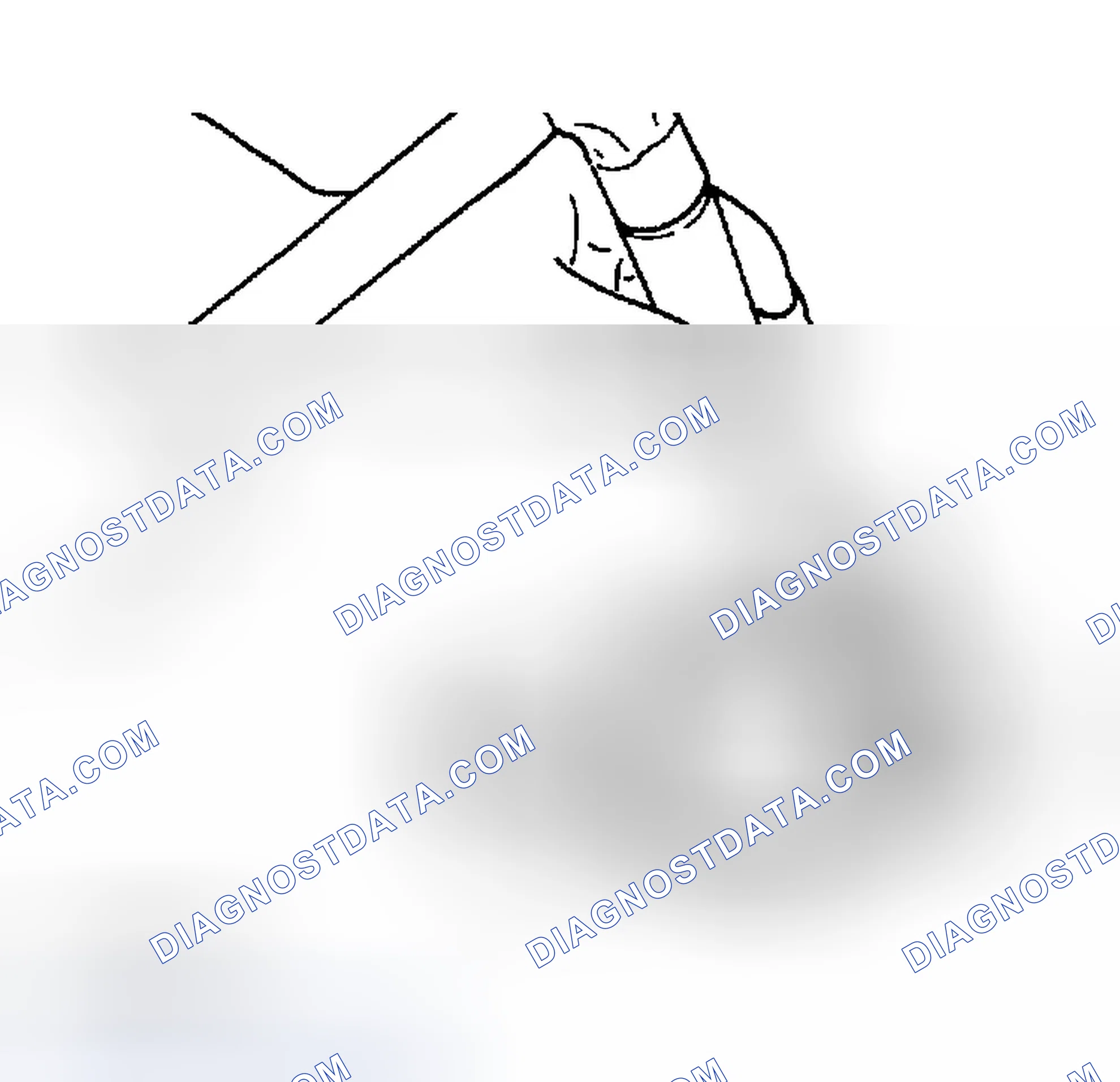 Scheme 92: REAR OIL SEAL