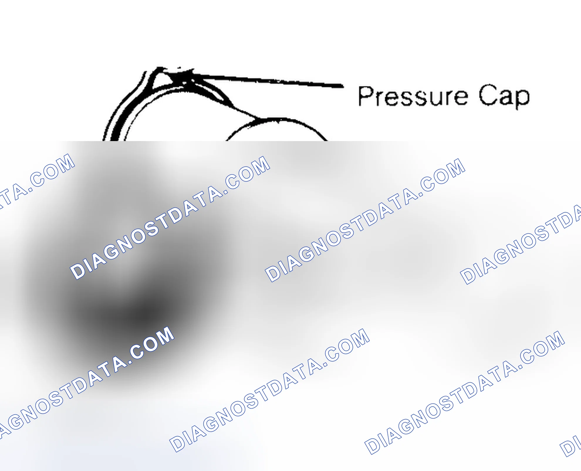 Scheme 2: Pressure Testing Radiator Cap