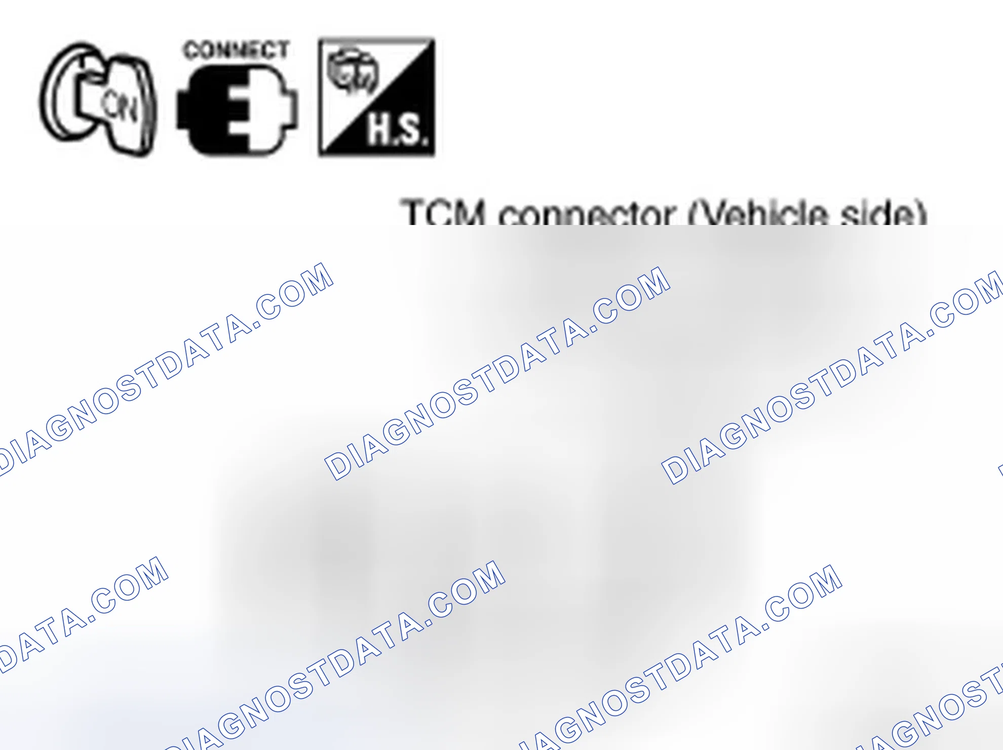 Scheme 16: DIAGNOSTIC PROCEDURE
