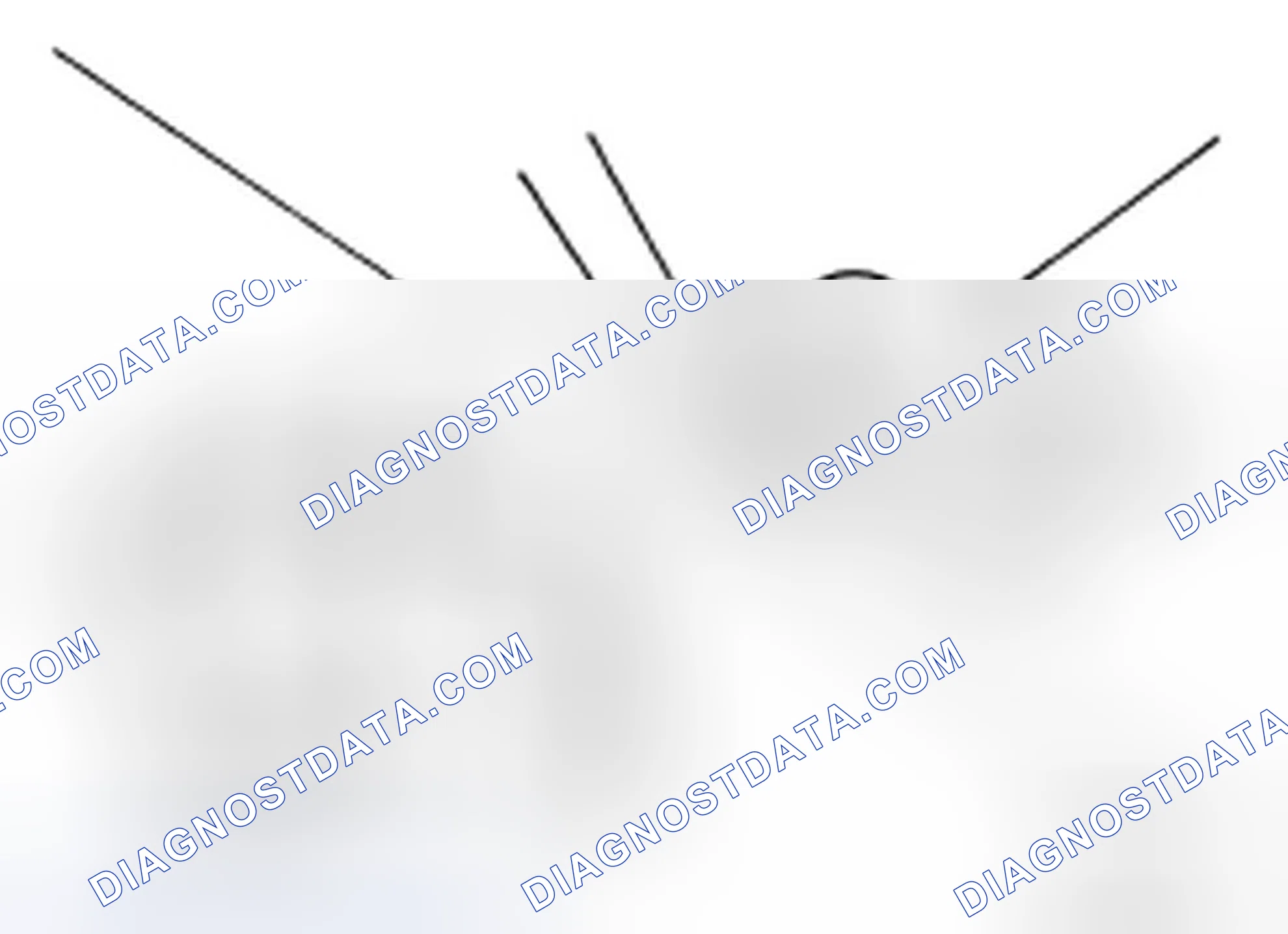 Scheme 41: Changing Brake Fluid