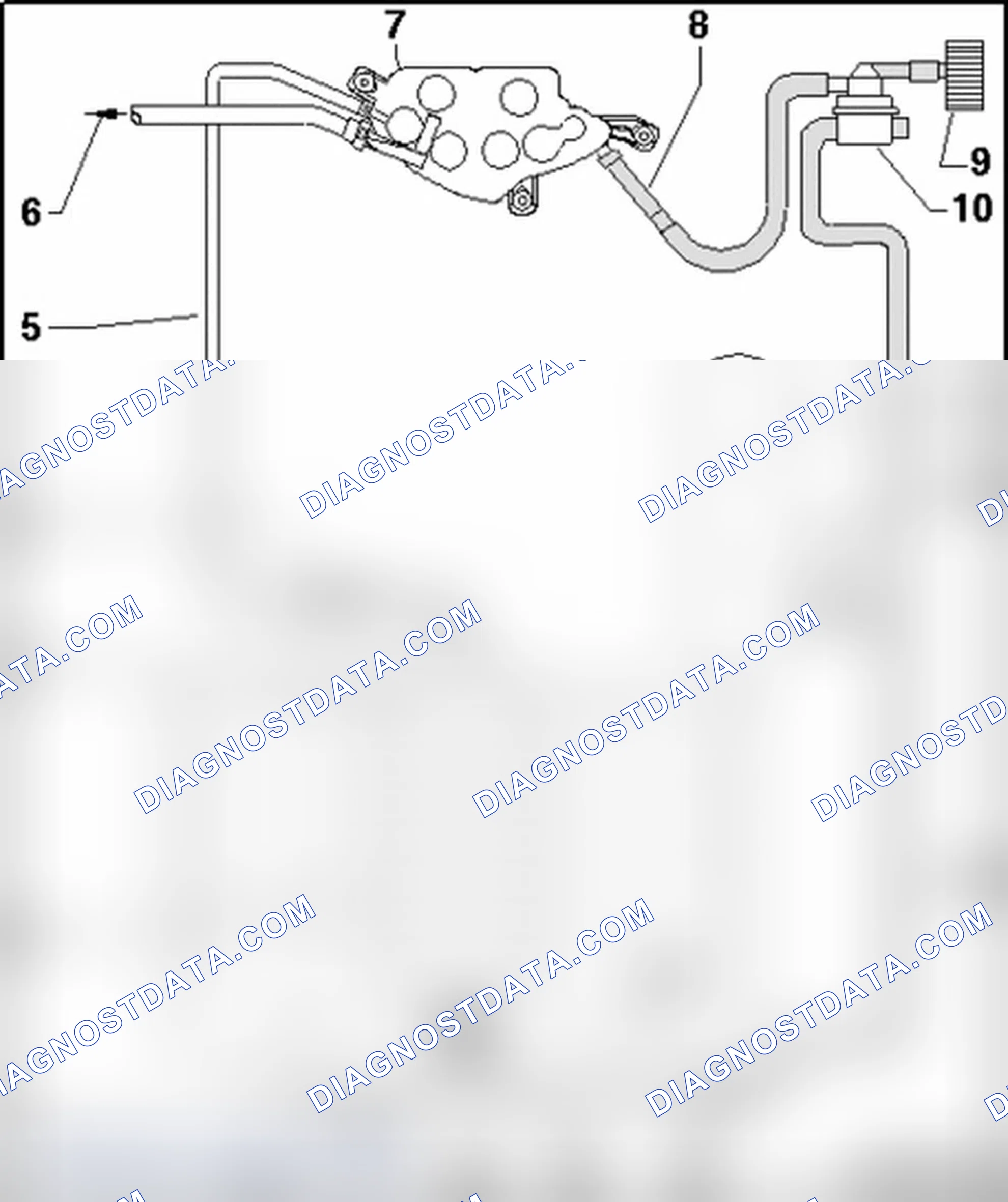 Scheme 169: Hose routing, EVAP canister/leak detection system (8-cyl. FSI engine (Audi RS4))